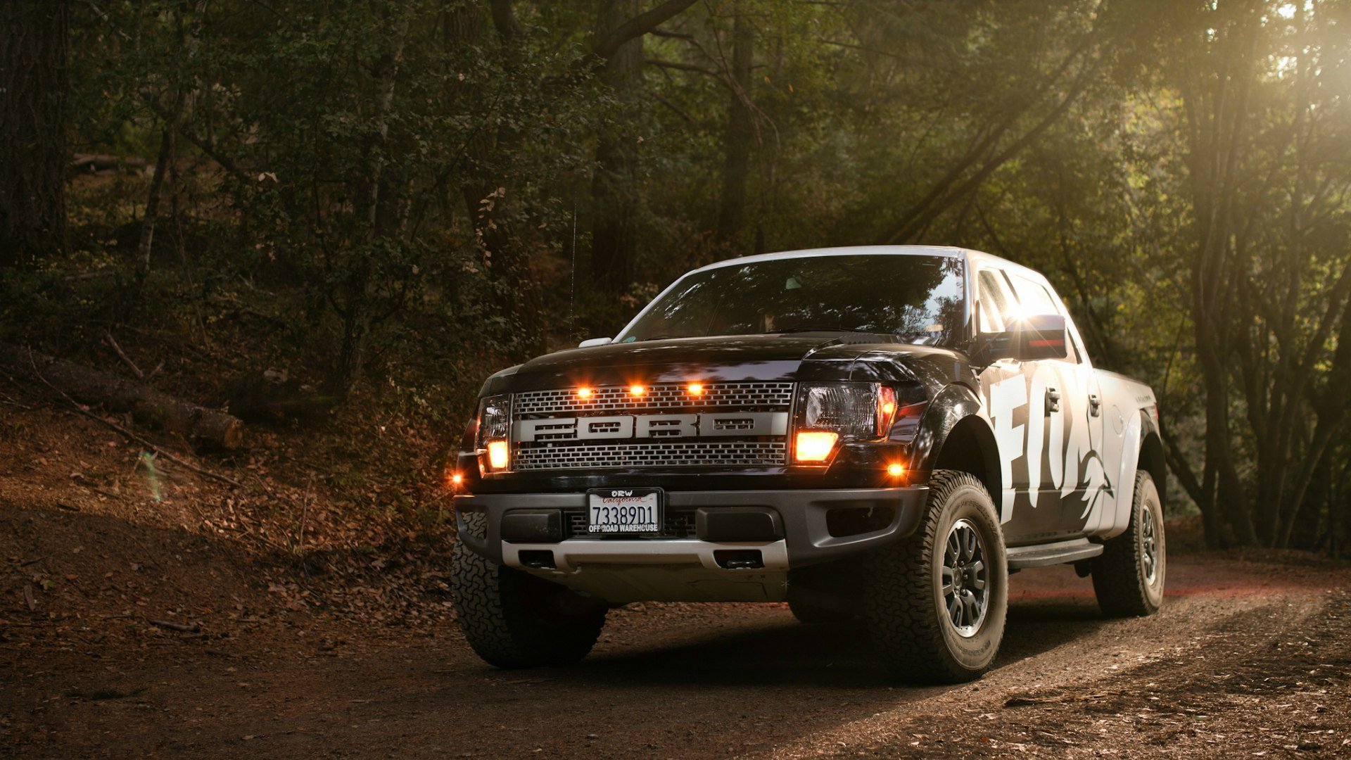 ford f-150 raptor forest leaves lights