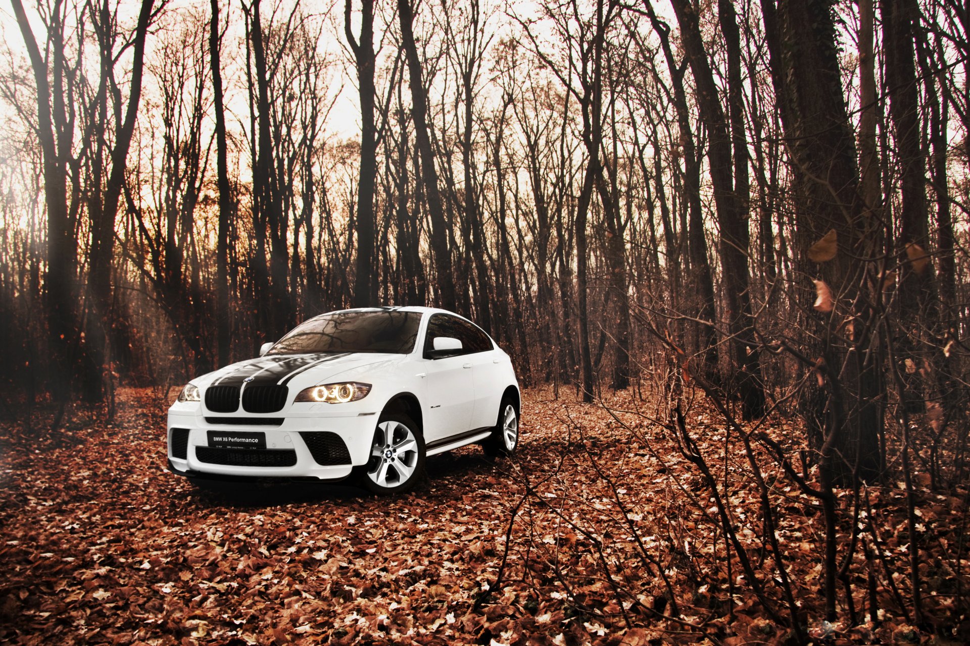 bmw x6 e72 tuning white suv autumn forest leaves