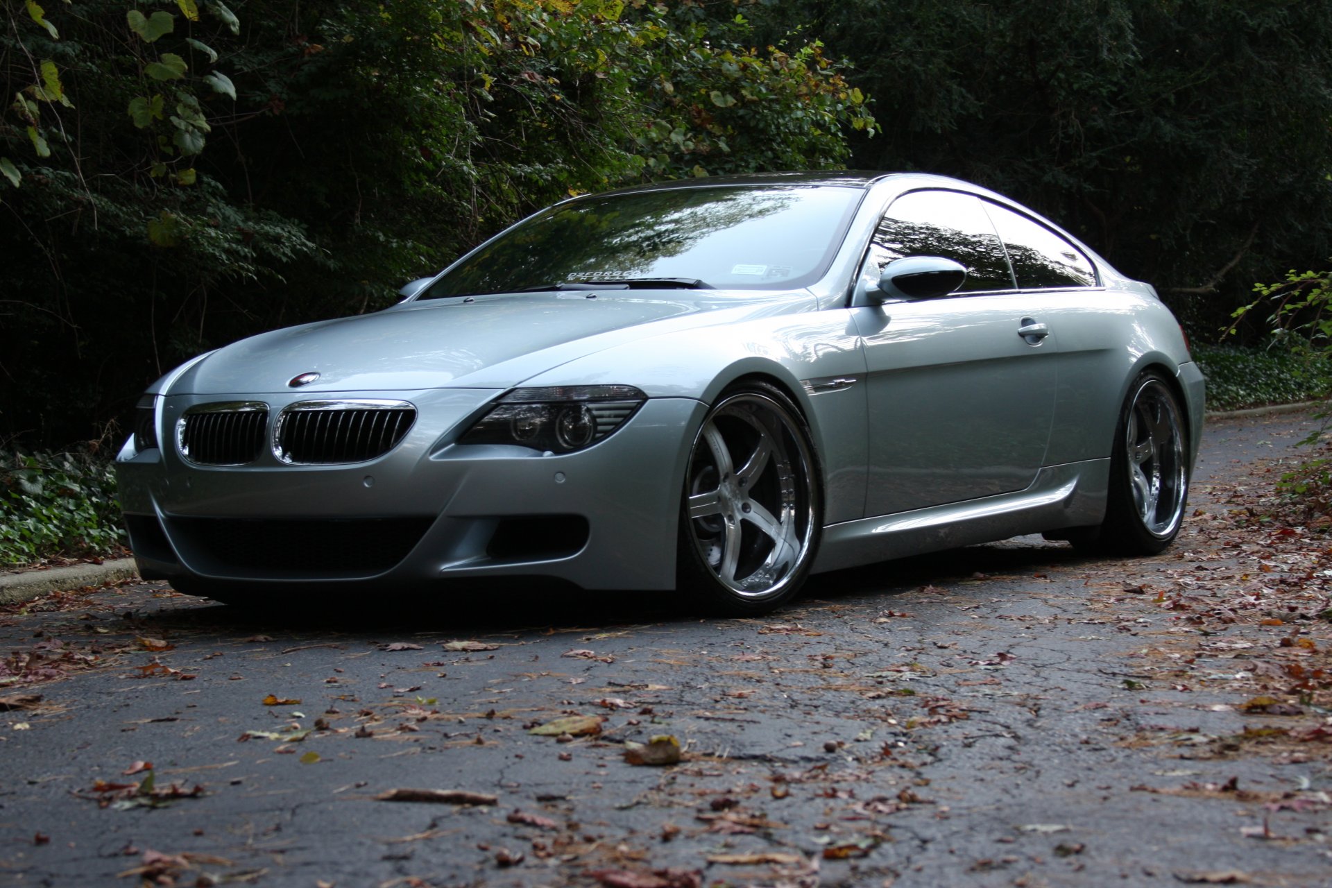 bmw m6 e63 silvery wheels road silver drives reflection leaves tree