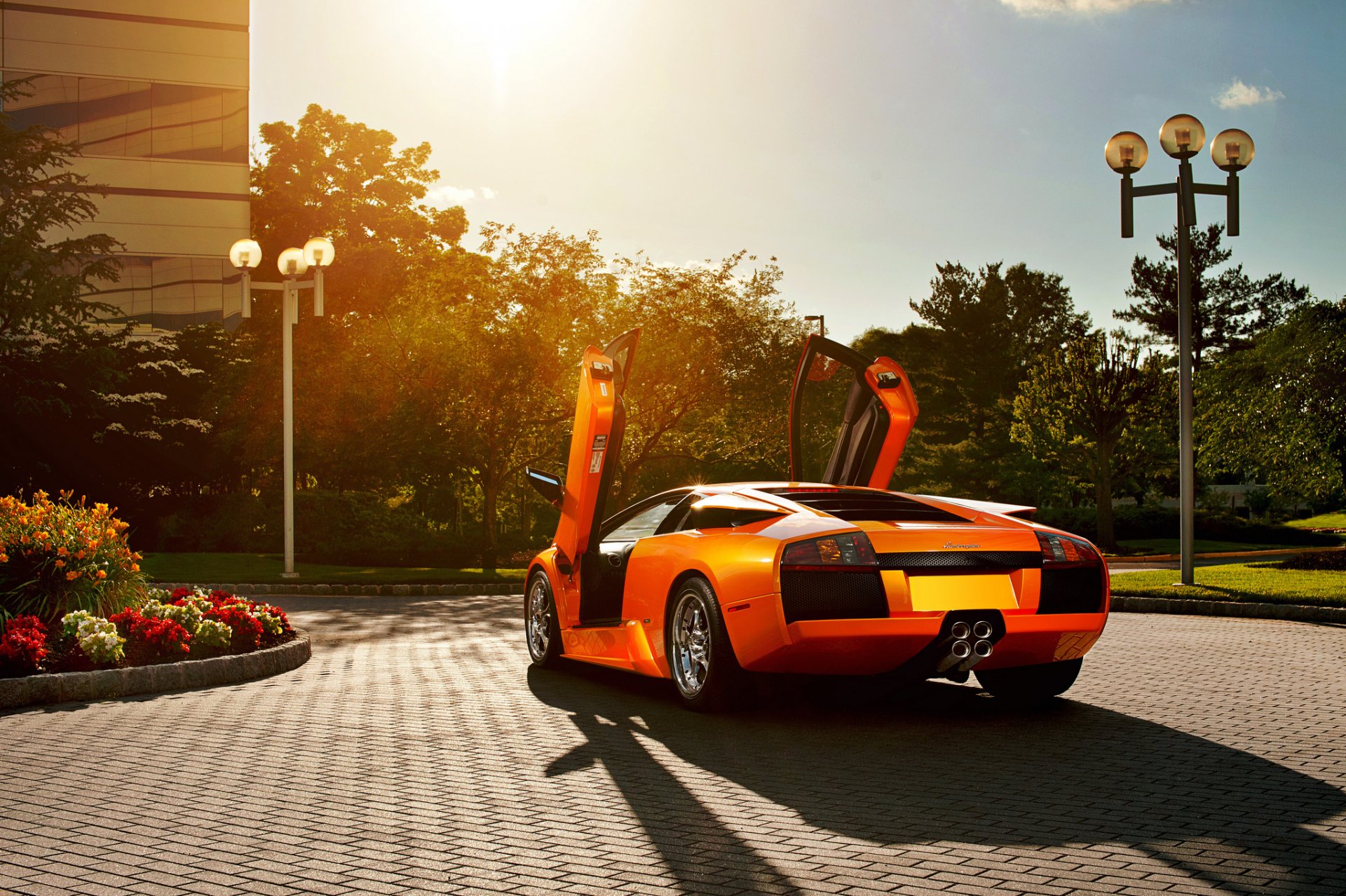 lamborghini murcielago orange murselago open the door lambo door lamppost flower paving highlight
