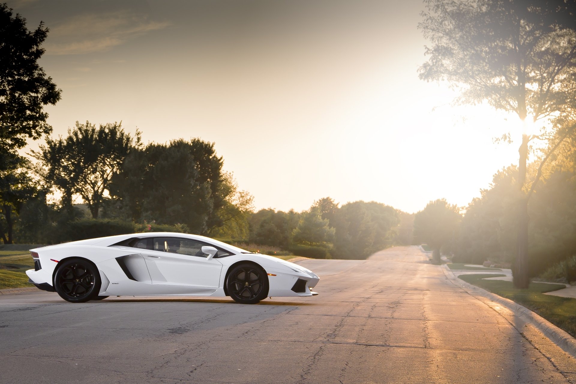 lamborghini aventador lp700-4 white black wheels section black wheels road tree sunset highlight