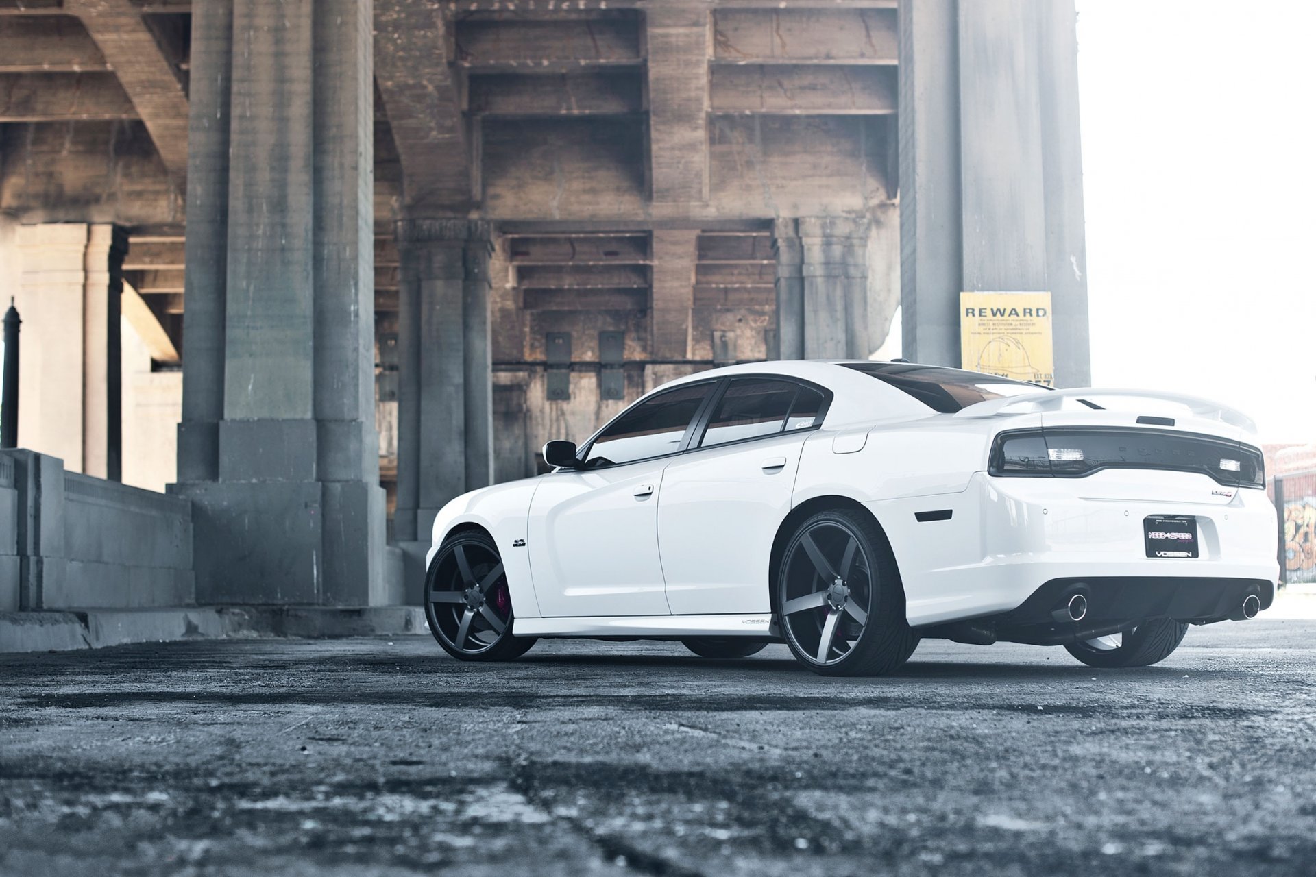 dodge charger srt8 white bridge supports chardzher cpt tail lights wing exhaust pipes beaton support