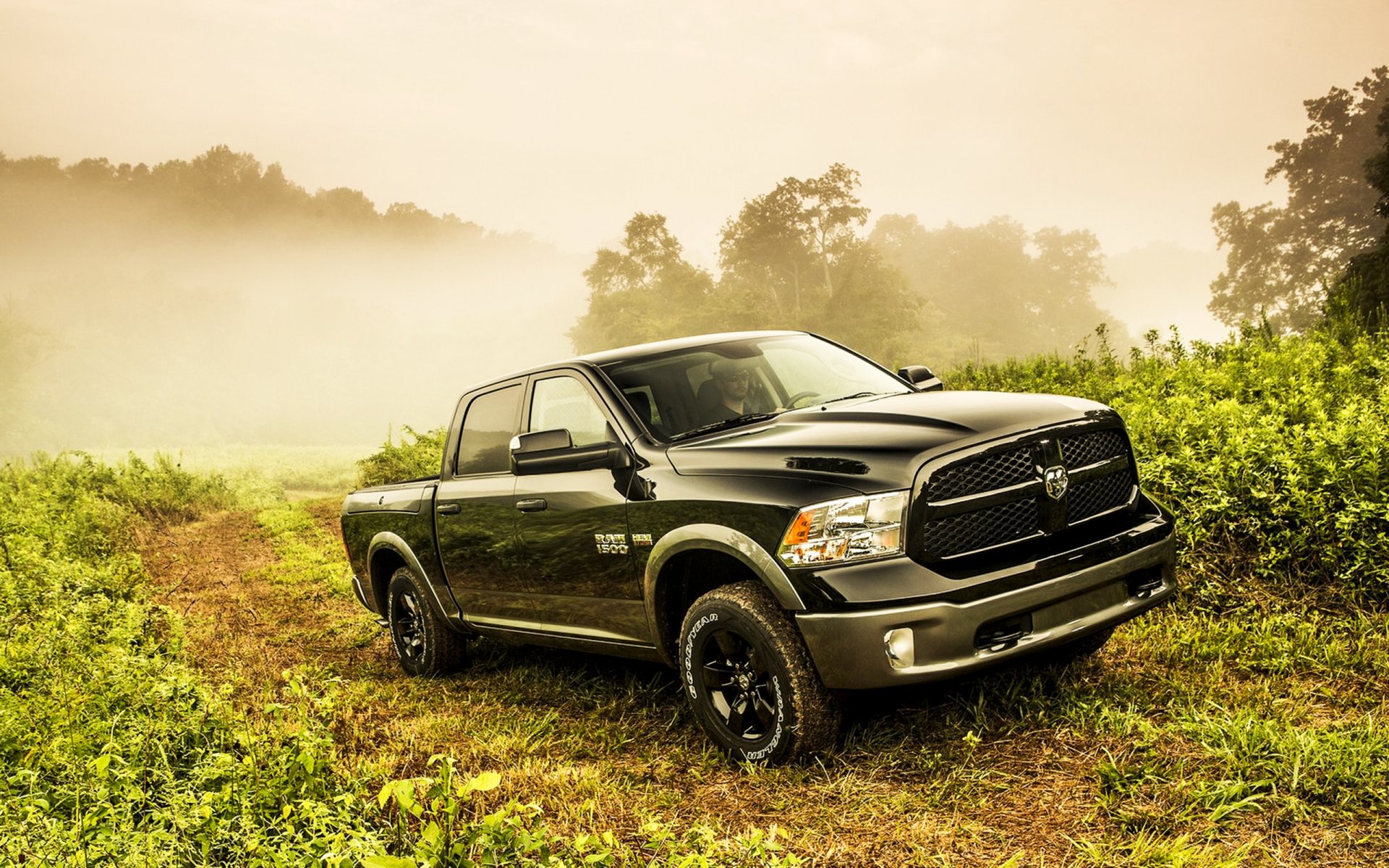 dodge ram 1500 truck 2013 black hemi 5.7-liter saw way vegetation fog road 4x4