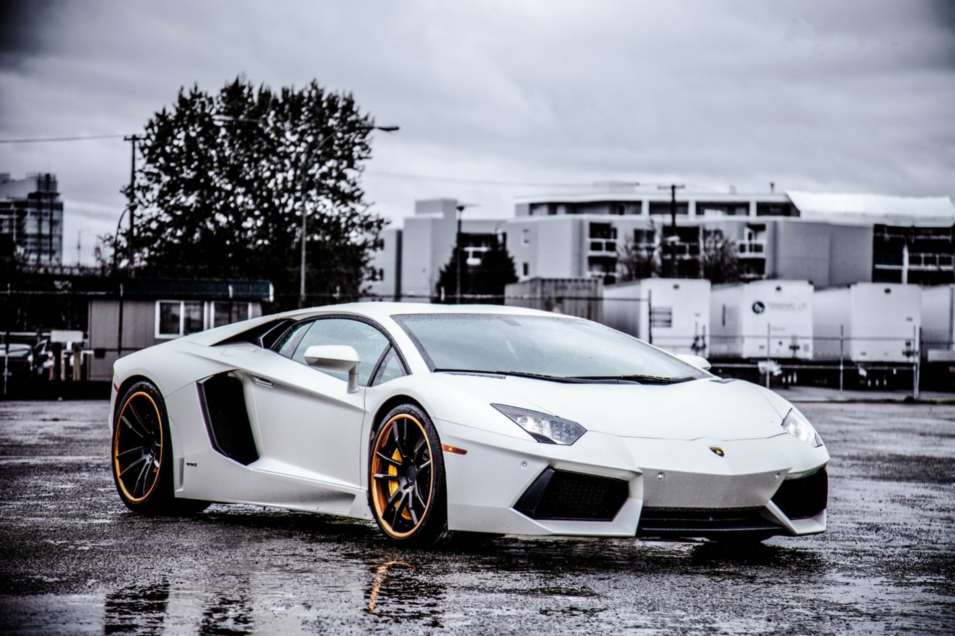 lamborghini aventador lp700-4 white wheels black view headlights black wheels sky clouds wet asphalt