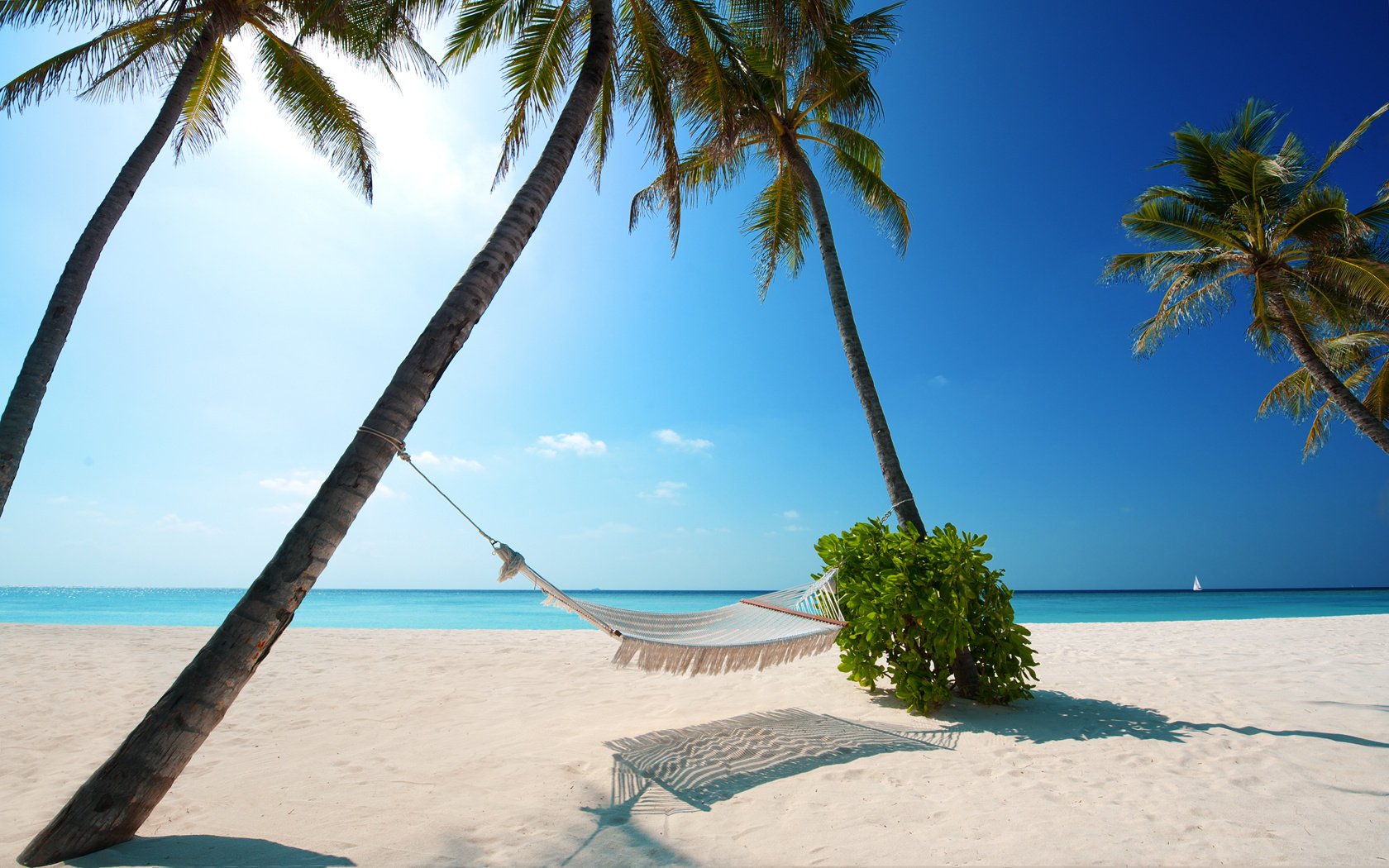 Hammock under palm trees on a summer beach