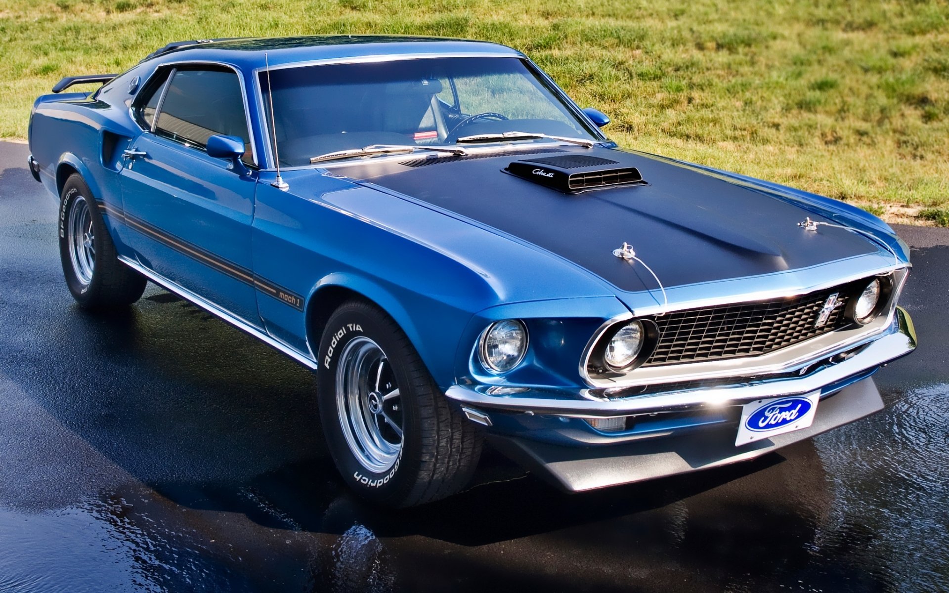 ford mustang mach 1 1969 blue front muscle car classic turf