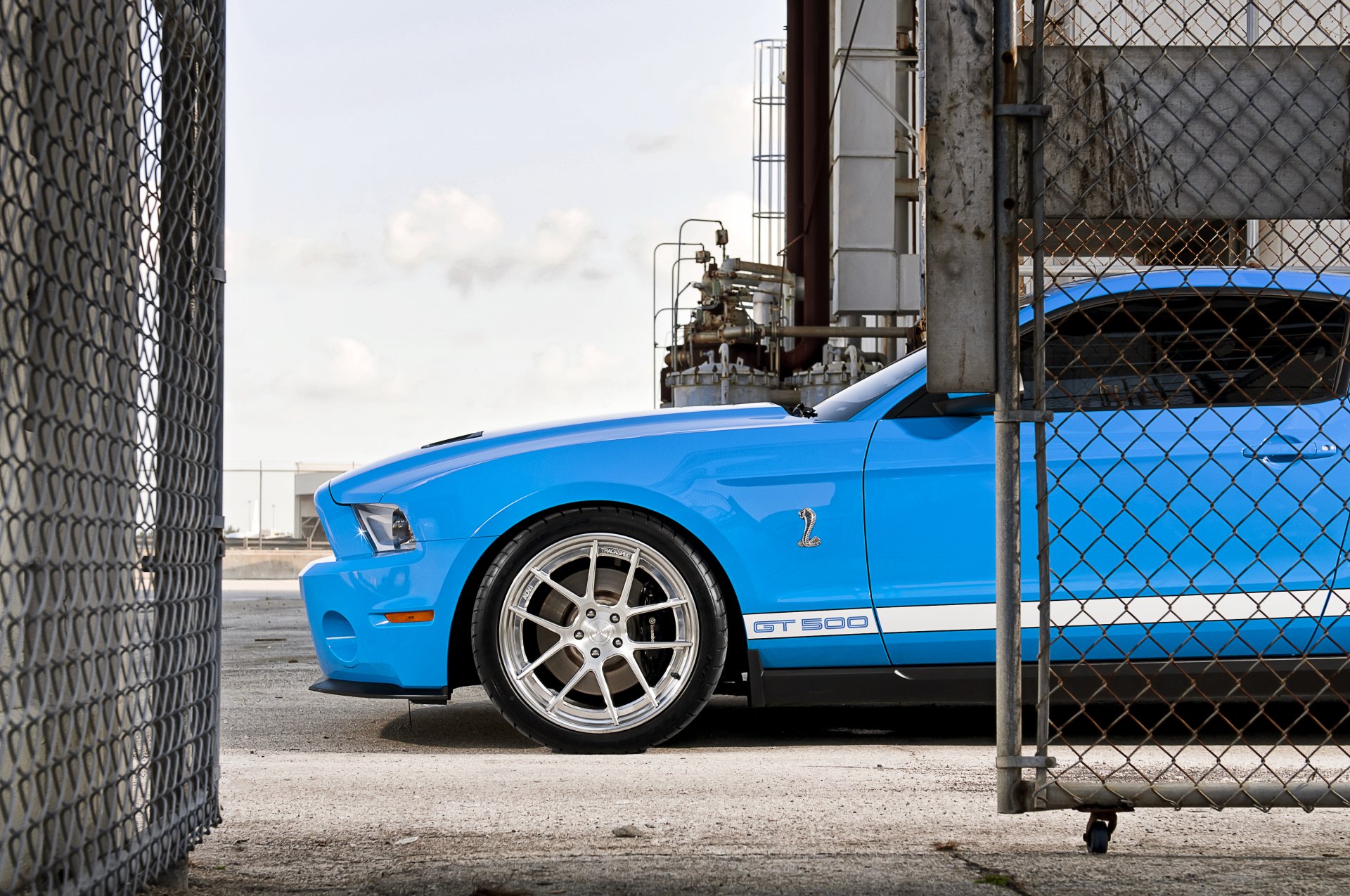 ford mustang shelby gt500 blue racing stripes muscle car fence net