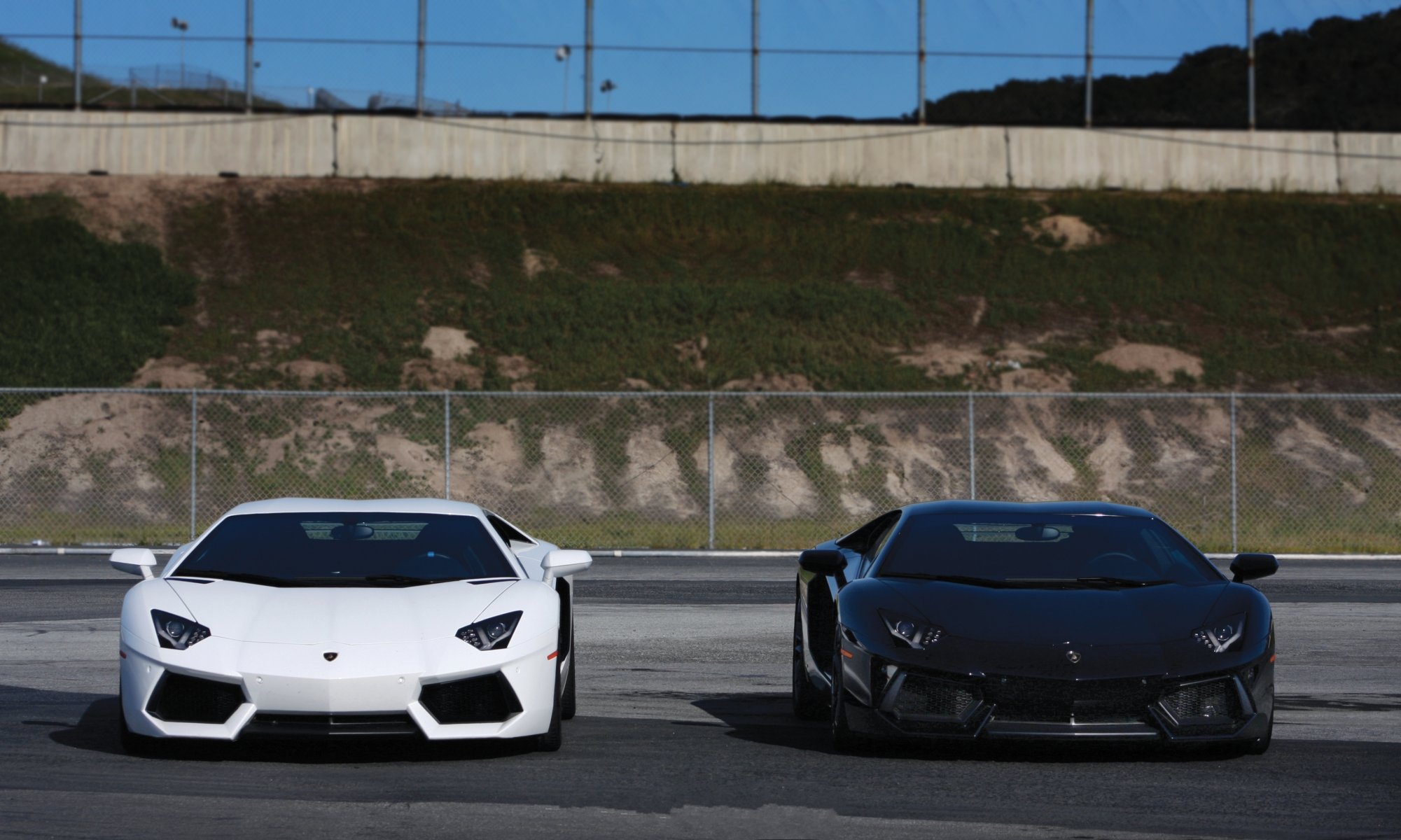 lamborghini aventador lp700-4 white black fence net asphalt sky