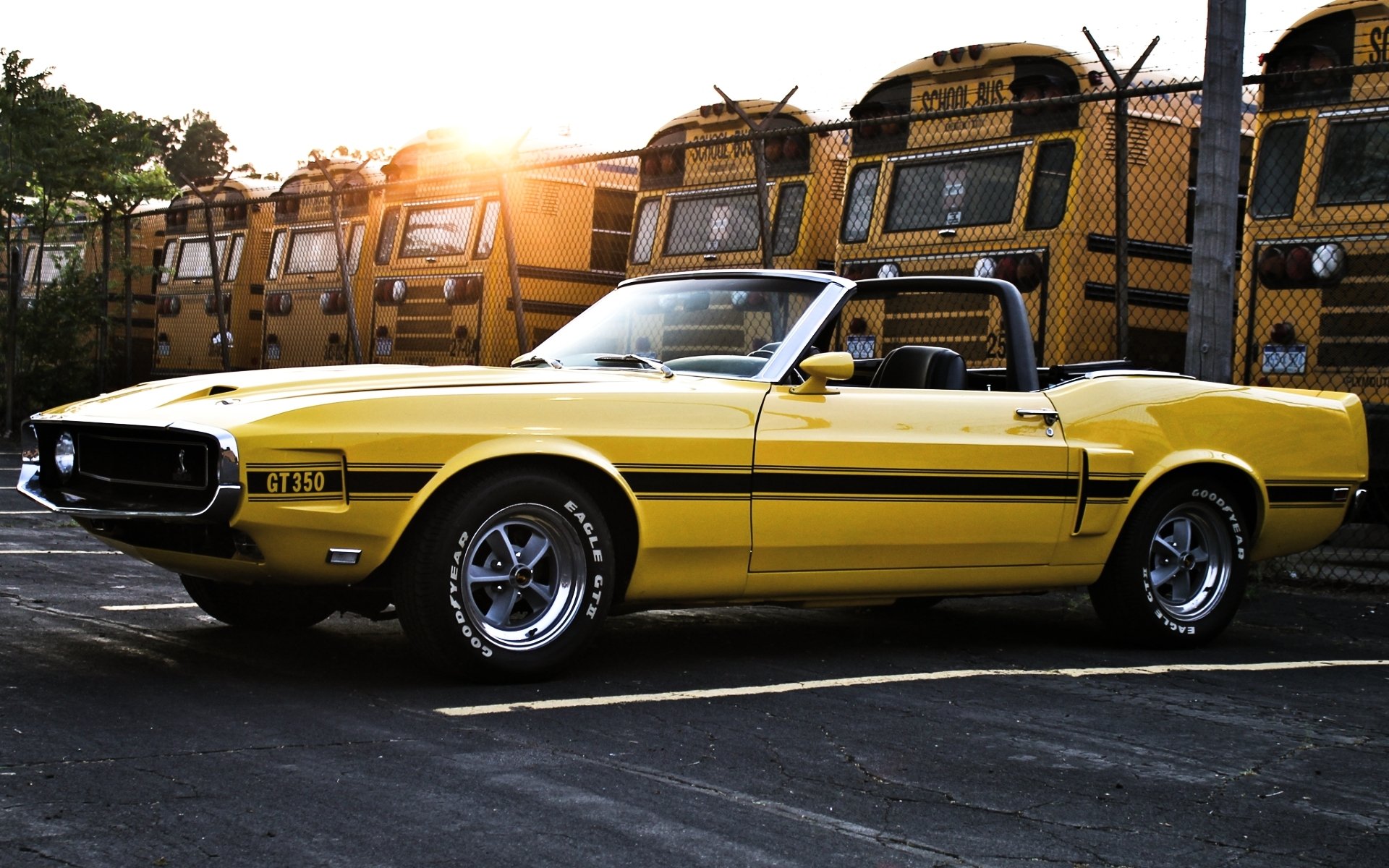 ford mustang shelby gt350 convertible 1969 yellow a side view muscle car fence buses sky sun