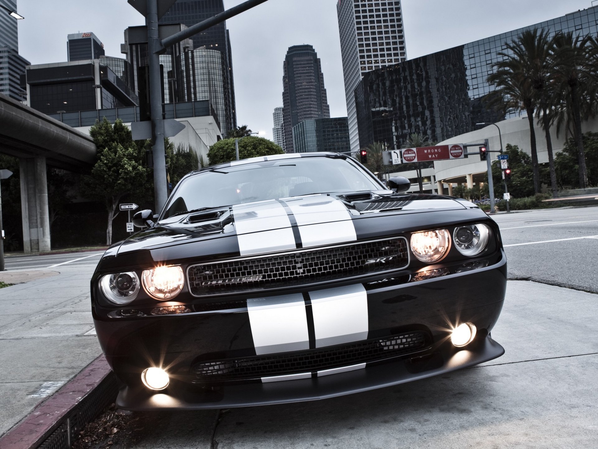 dodge challenger srt8 chelenzher muscle car town of the strip light