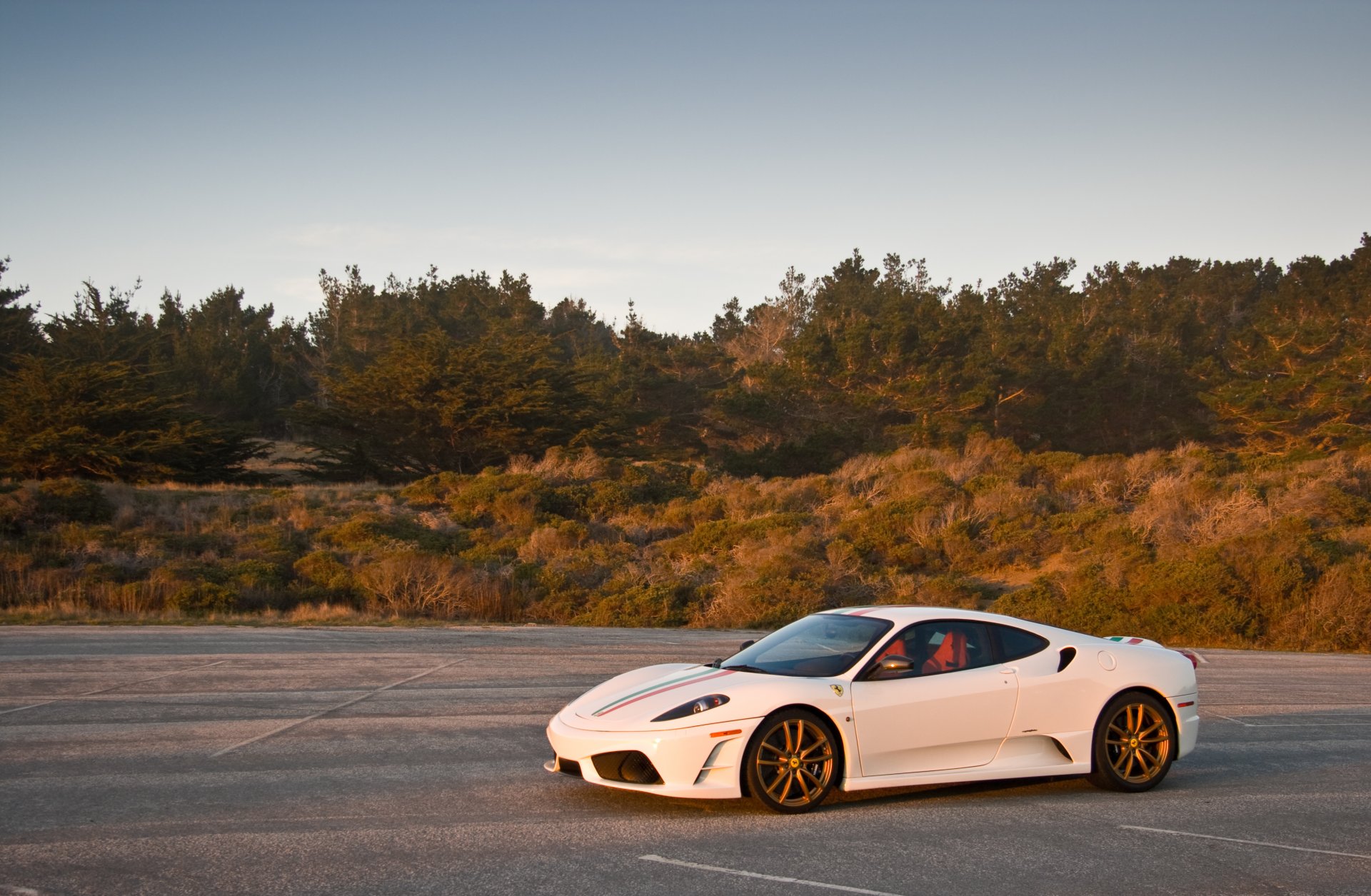 ferrari f430 scuderia white f430 scuderia a side view asphalt shadow grass tree sky