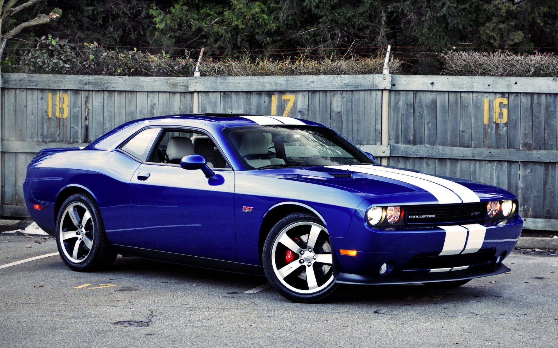 dodge challenger srt8 inaugural edition chelenzher blue muscle car front