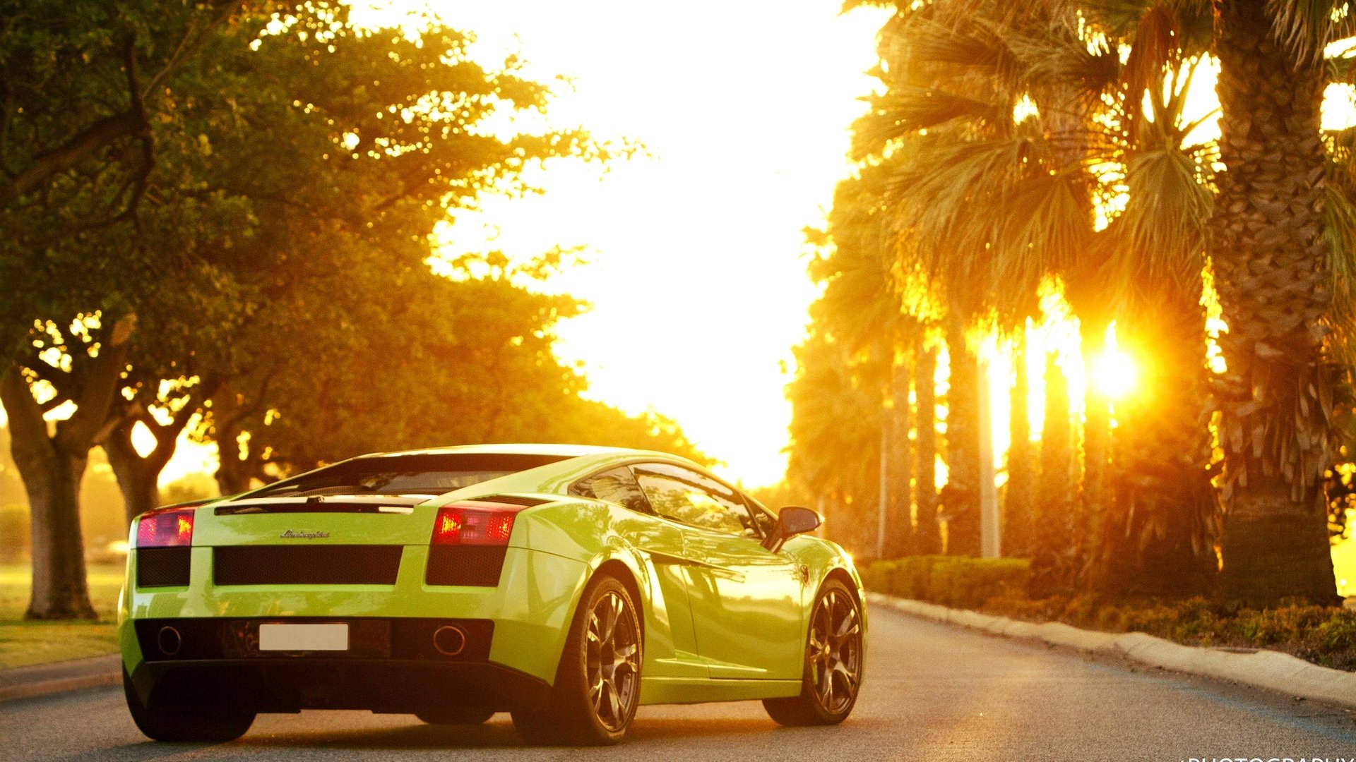 lamborgini gallardo green sportcar sun machine lamborghini palm