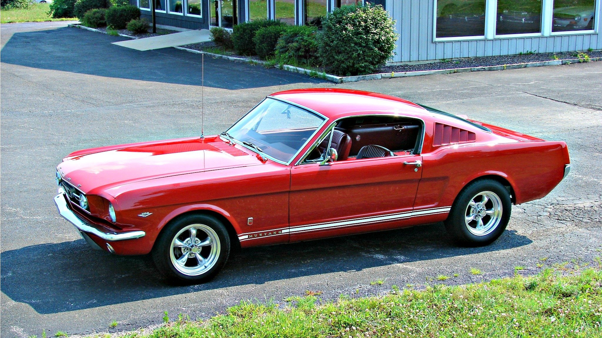 ford mustang ford mustang red red mustang 1966 car oil muscle car american american car usa