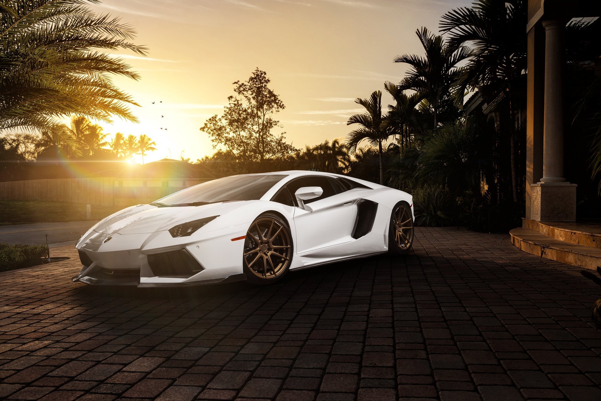 lamborghini aventador lp700-4 white front to house palm sun highlight