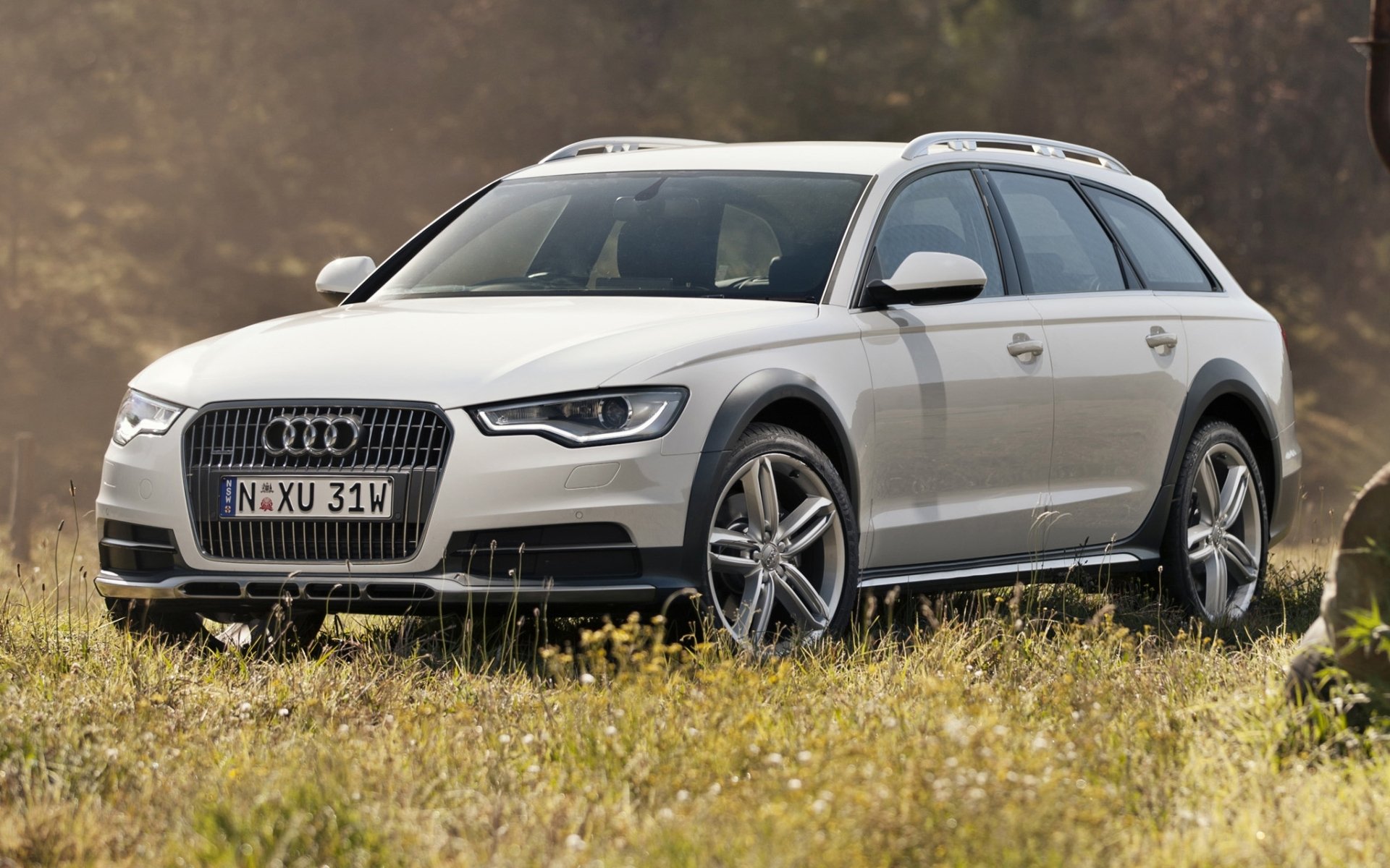 audi a6 allroad 3.0 tdi quattro ollroad estate white peredok.trava background