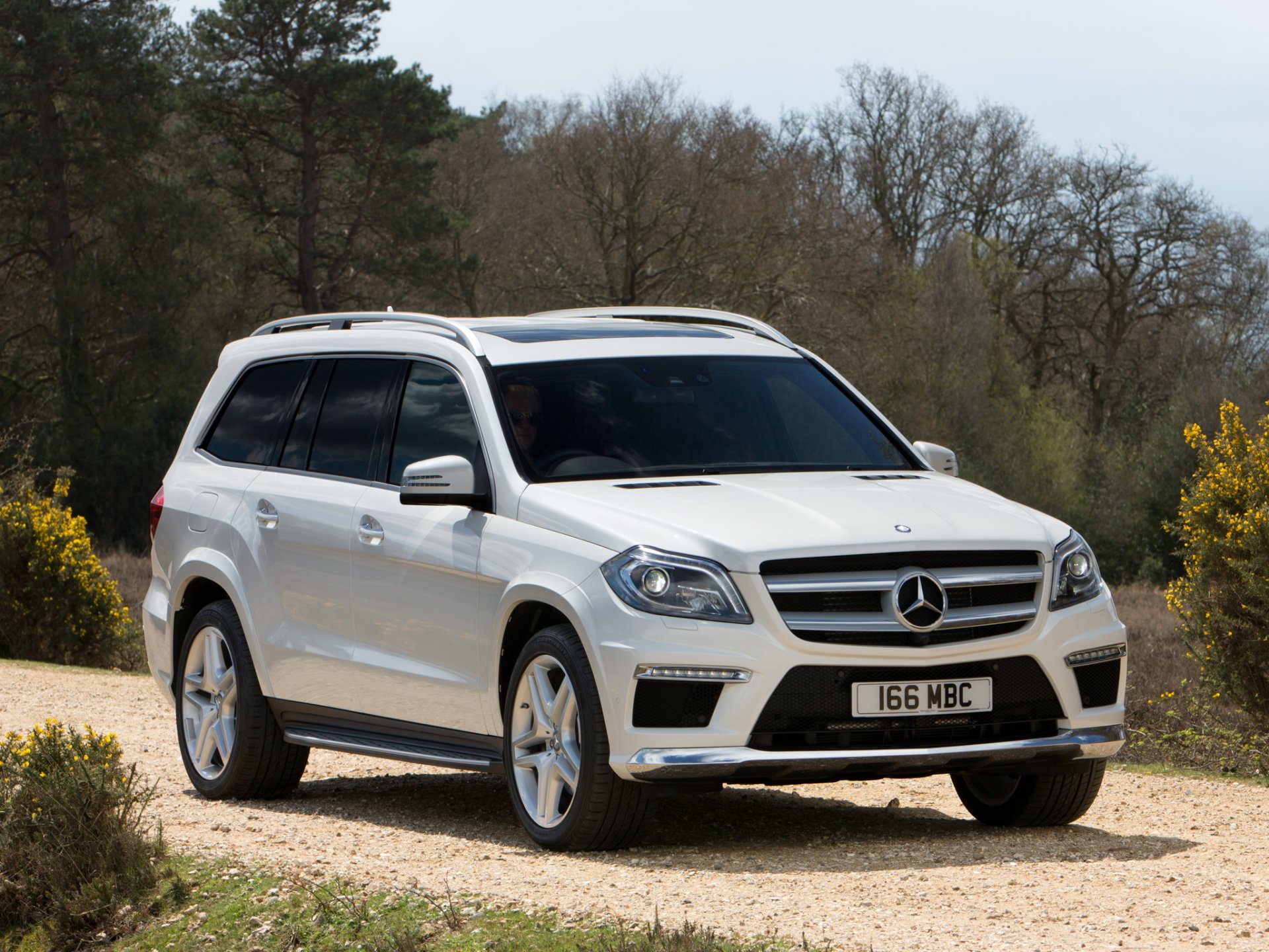 mercedes-benz gl 350 bluetec amg sports package machine tree mercedes