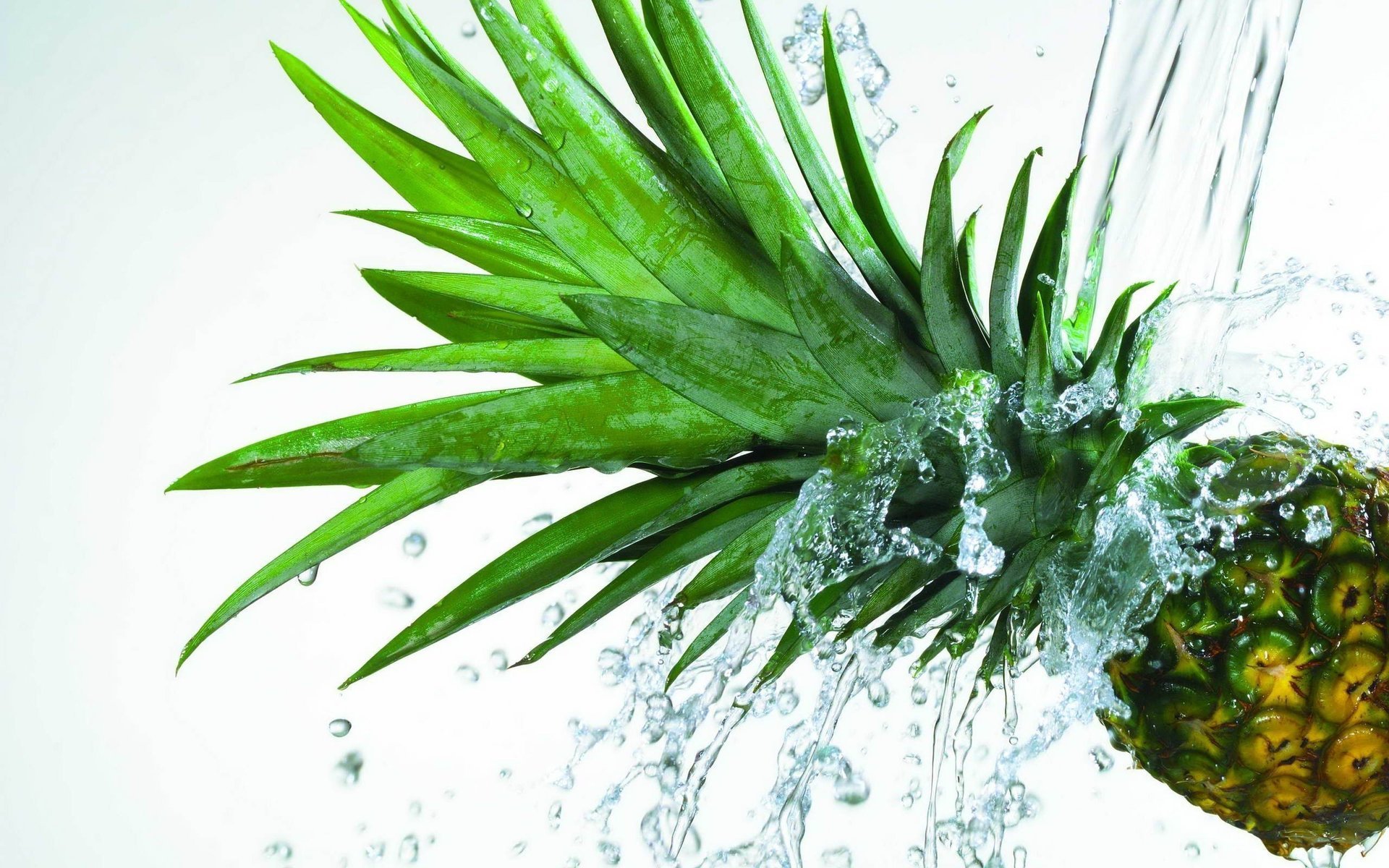 Pineapple greens under water spray