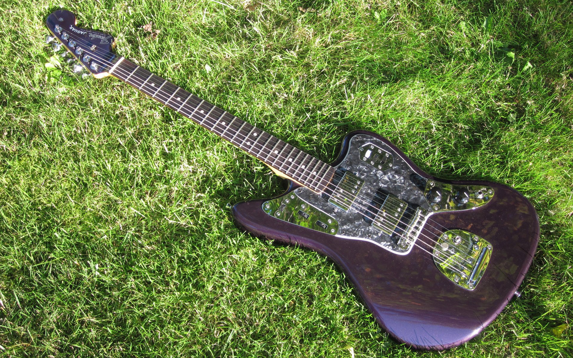 The guitar is lying on the green grass