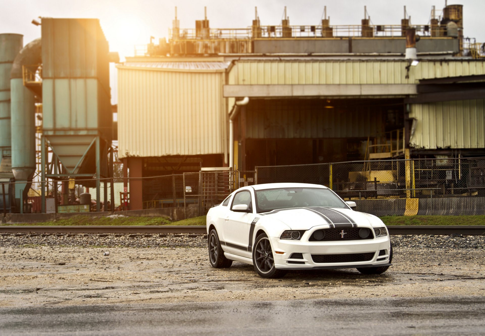 ford mustang boss 302 white muscle car racing stripes highlight