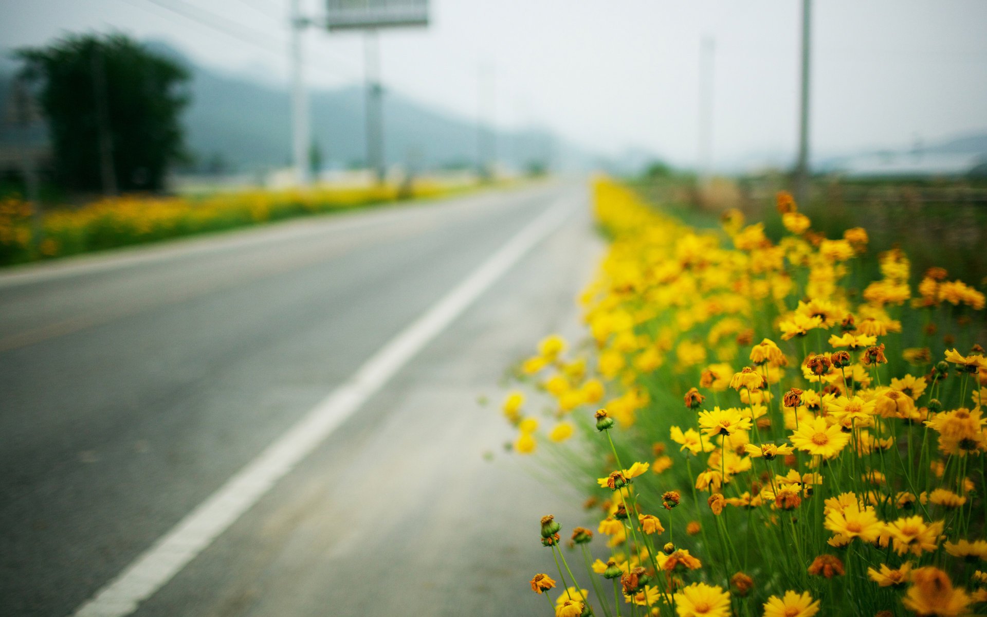 A highway with bright colors on the side of the road