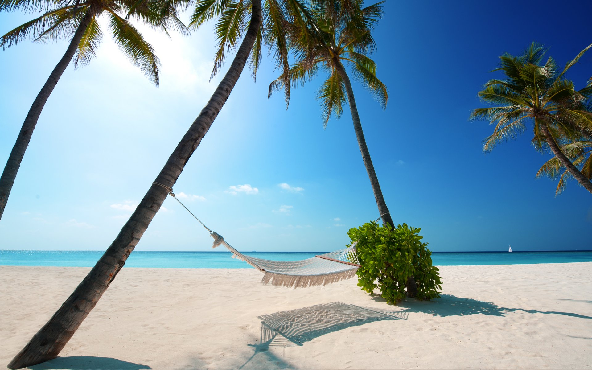 landscape beach beaches sand morning sky sun light summer heat palm palma tree plant plants water sea ocean sports relax hammock