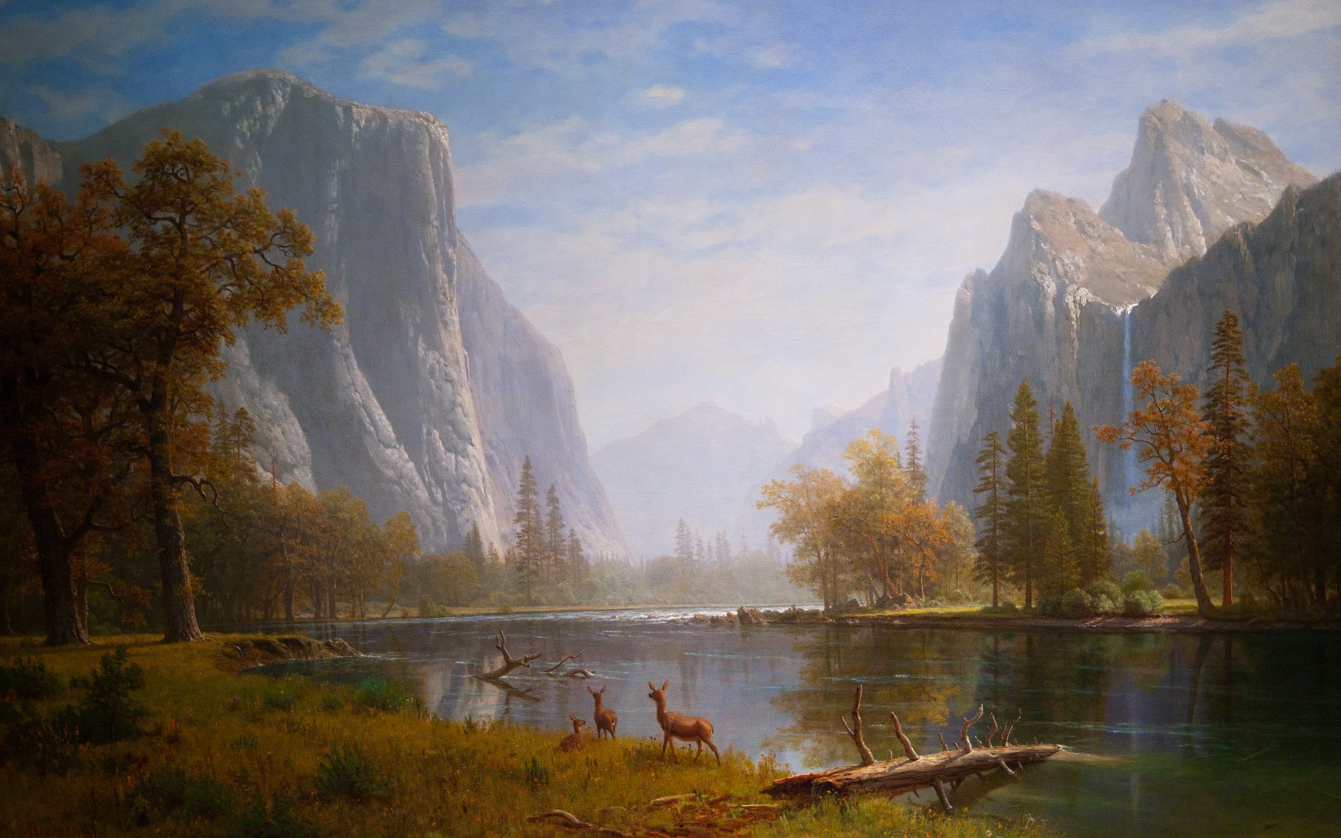 art pictures picture picture of the animal water mountain tree nature waterfalls