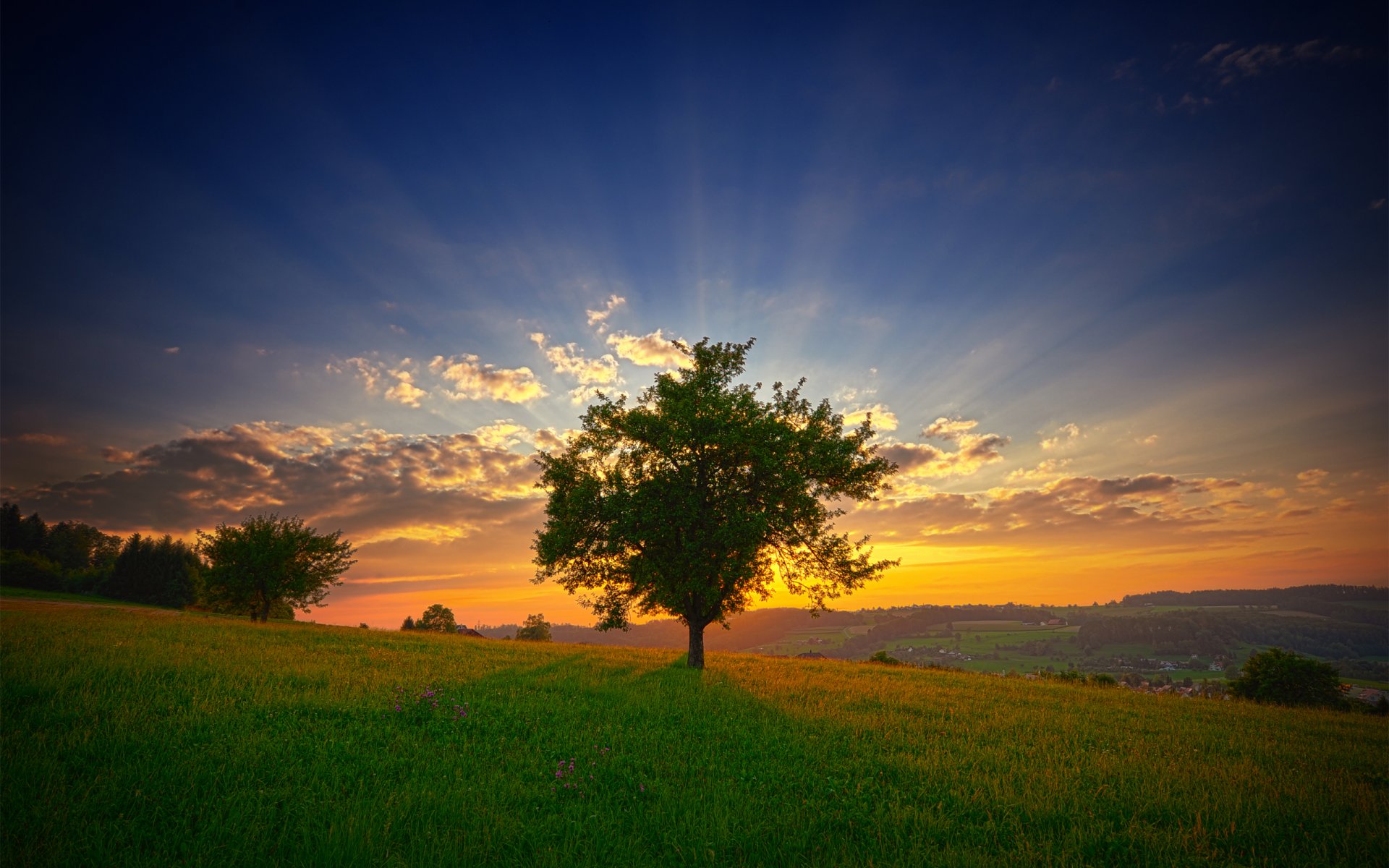 landscape sky dawn sun rays clouds morning freshness tree slope grass green summer flower nature view view hills fresh sunrise daybreak lightrays