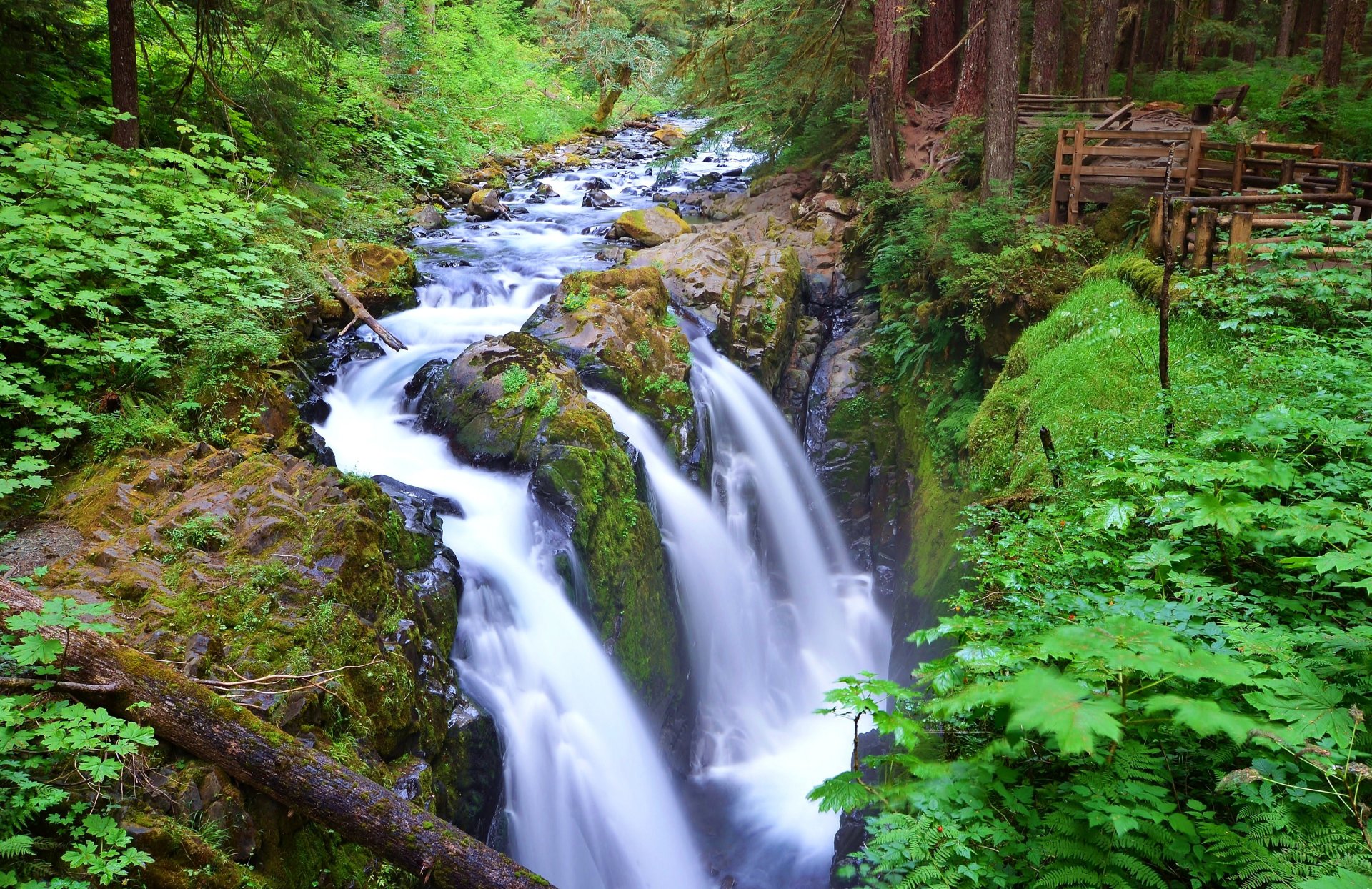 sol duc falls olympic national park washington united states river forest feed tree waterfall