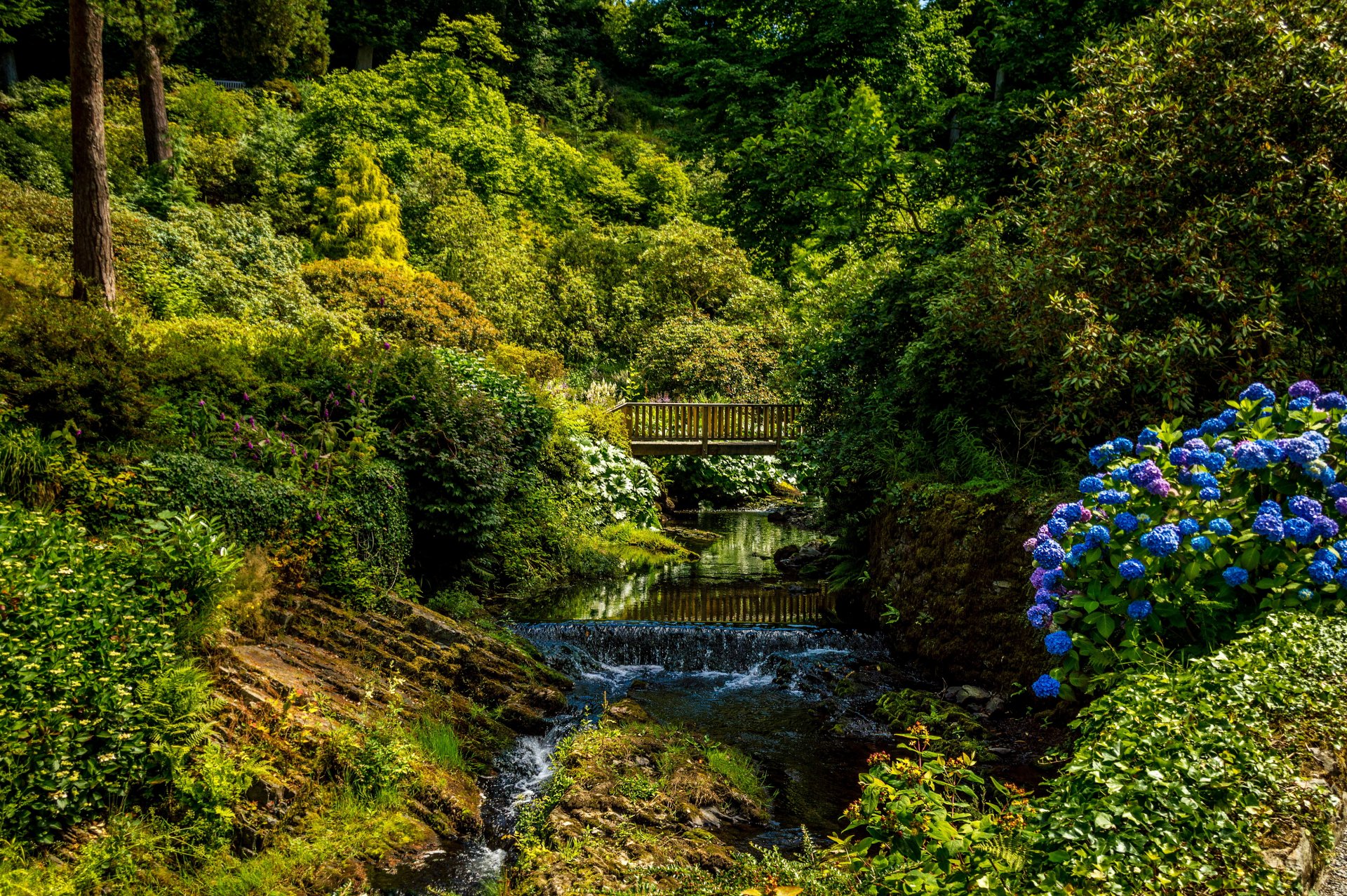 united kingdom bodnant gardens wales park green bush tree creek bridge