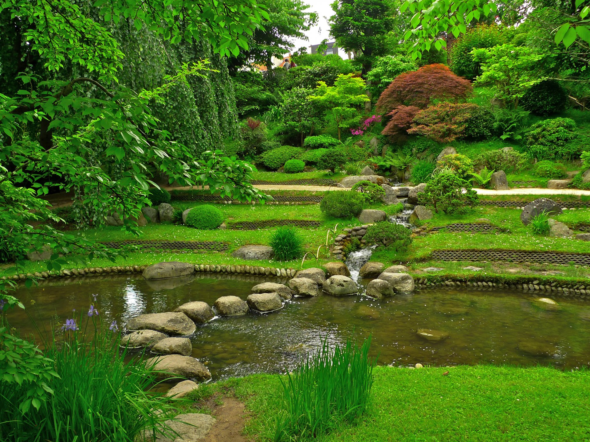france albert kahn japanese gardens supplies stones pond grass green tree bush vetki.listya