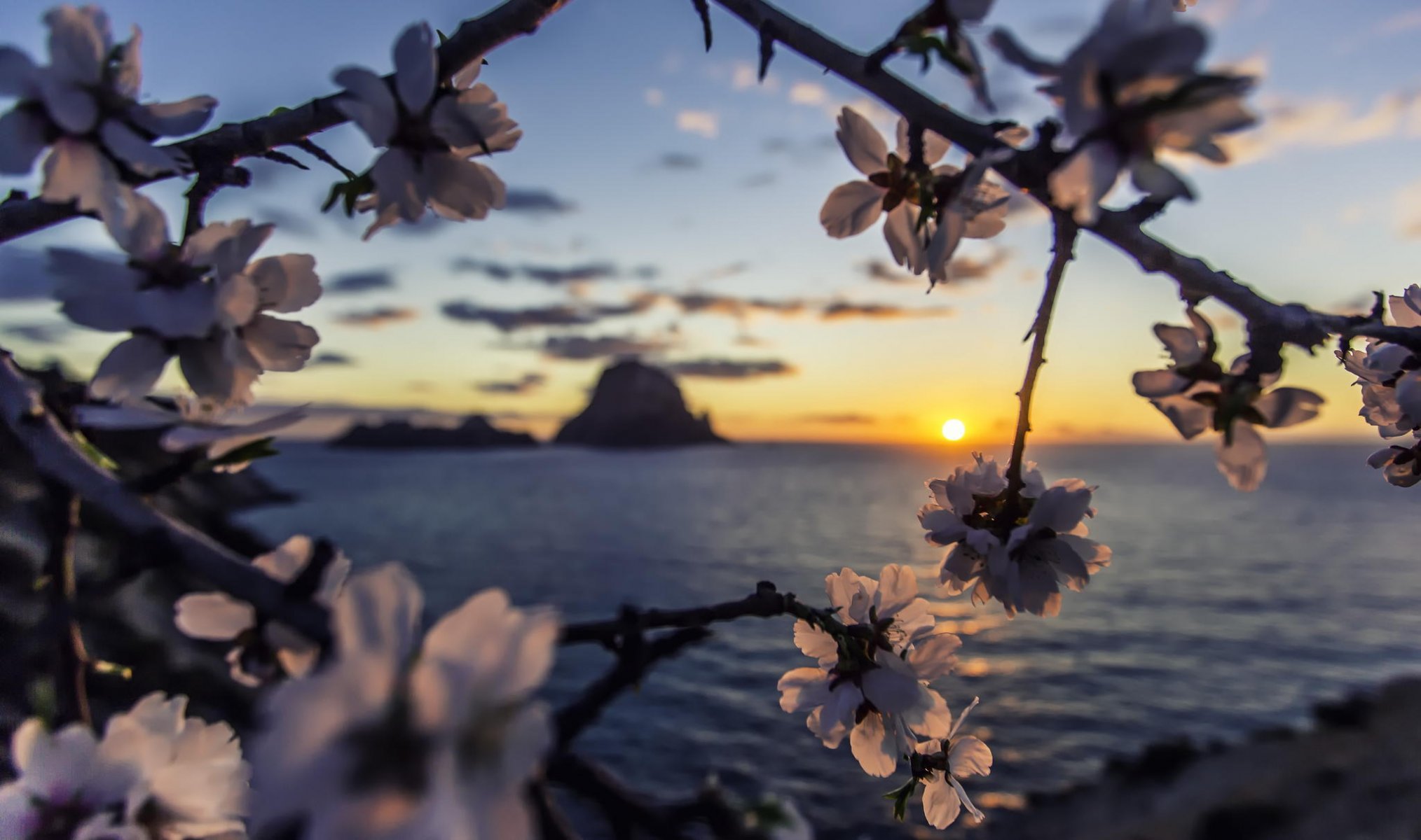 sea dawn sunset almond es vedra ibiza island sun