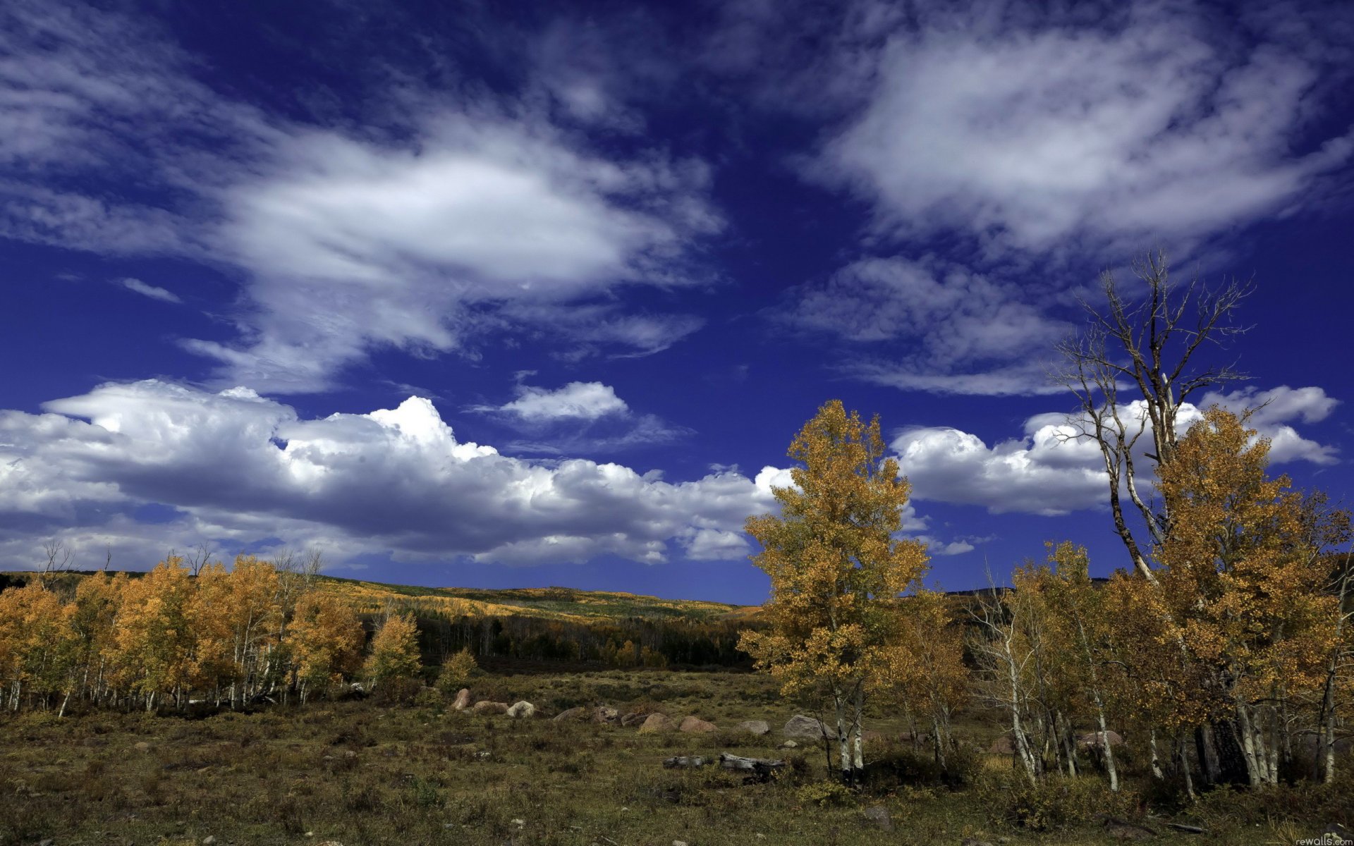 sky clouds tree autumn birch forest stones landscape