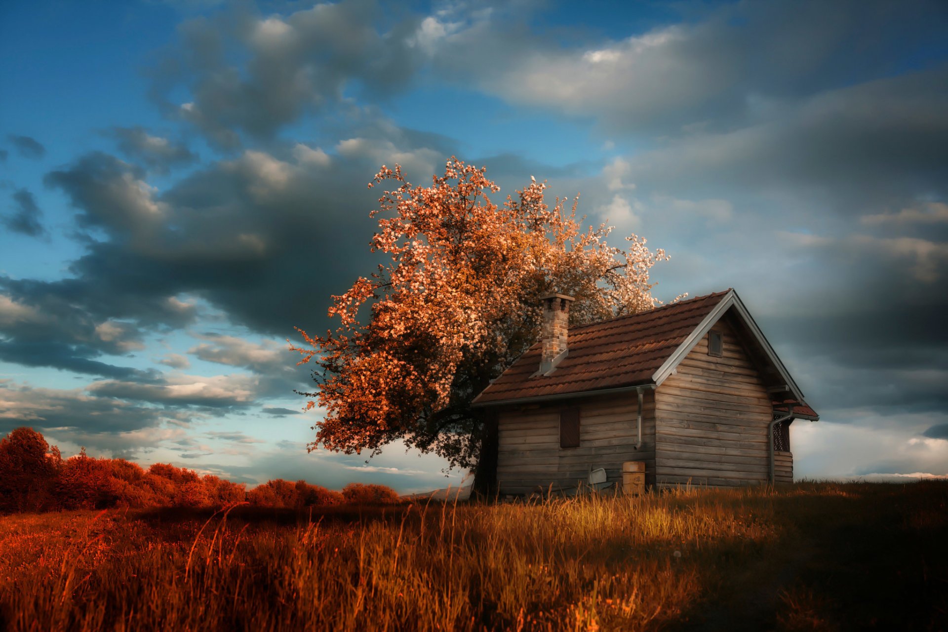 cottage house tree spring bloom clouds amir bajrich