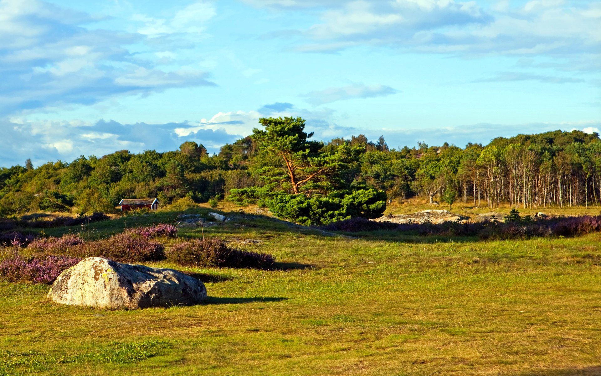 sweden västra götaland sky forest tree the field grass stone house