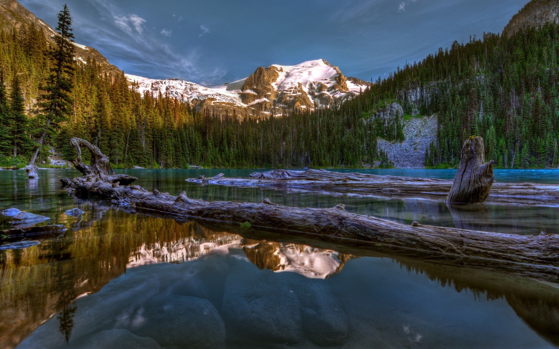 canada mountain lake reflection tree