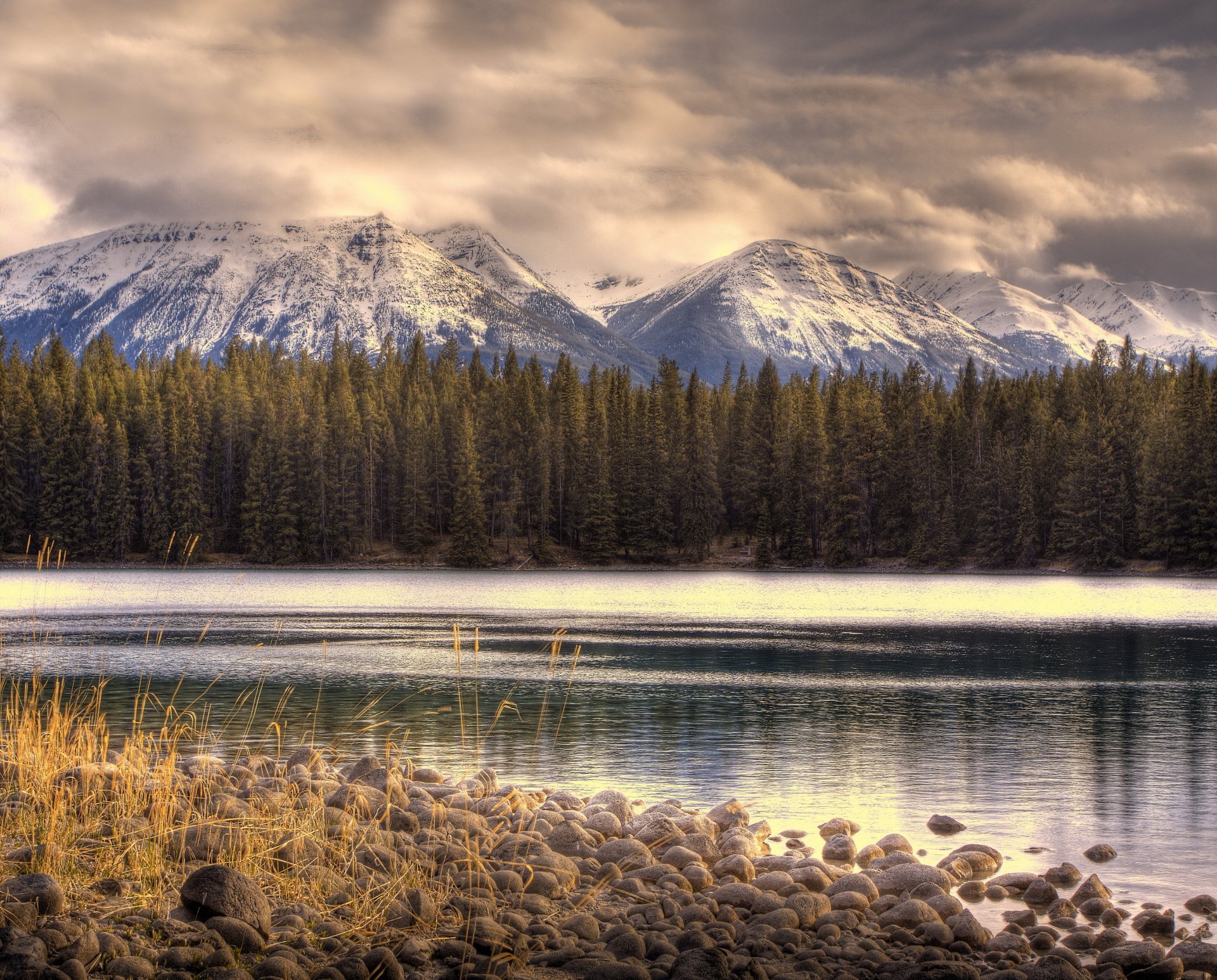 mountain forest lake