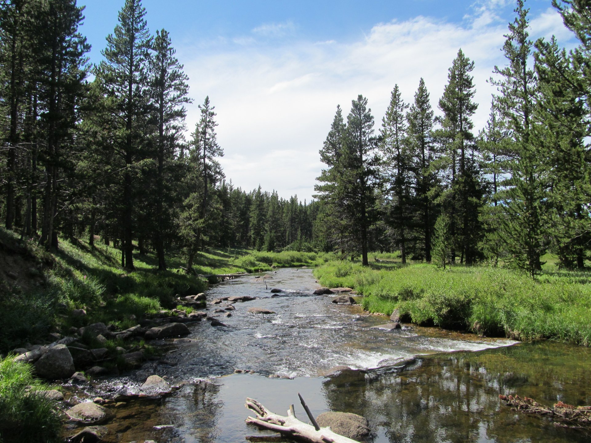 mountain river forest nature big horn mountains
