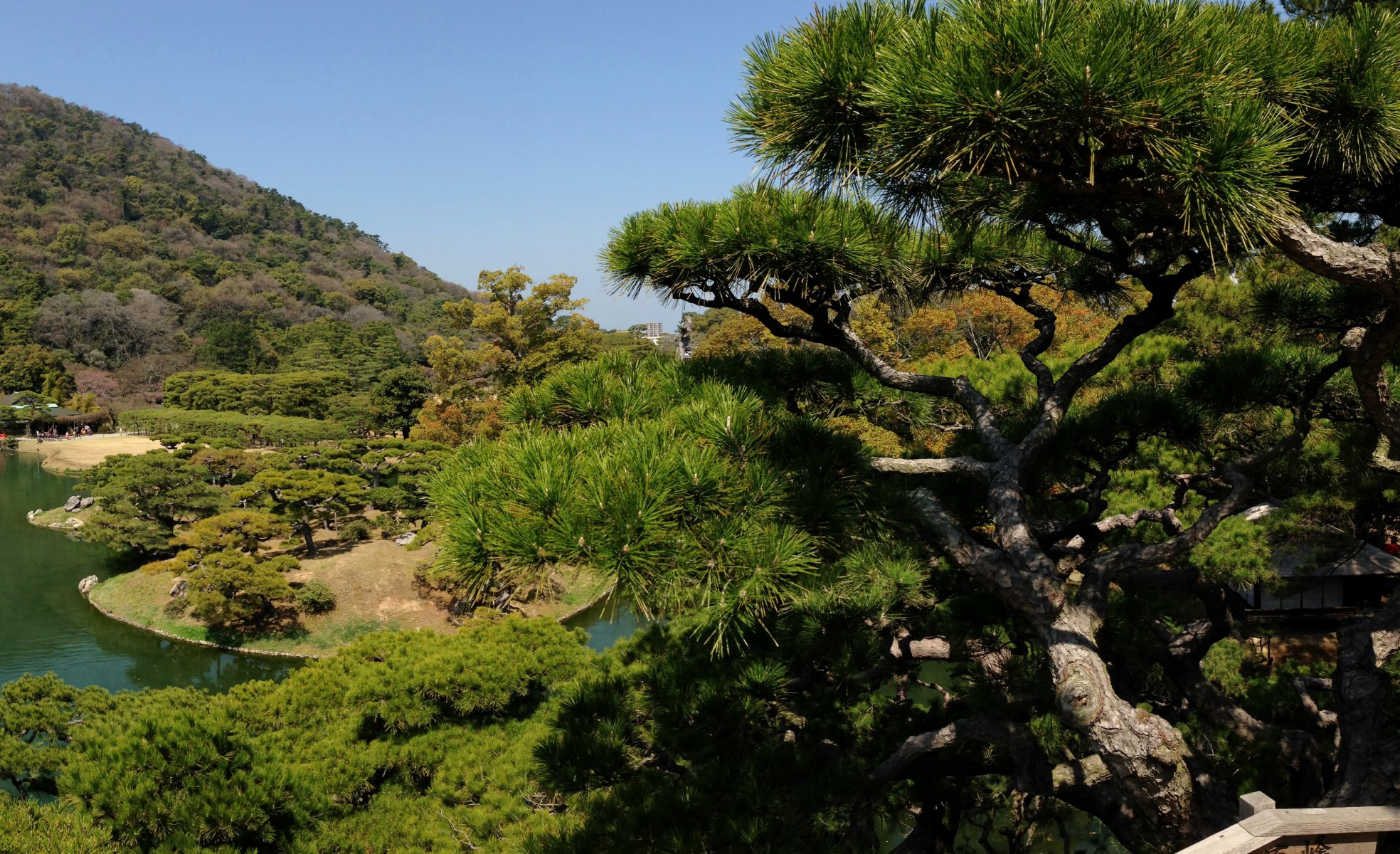 japan supplies takamatsu ritsurin garden tree green reservoir