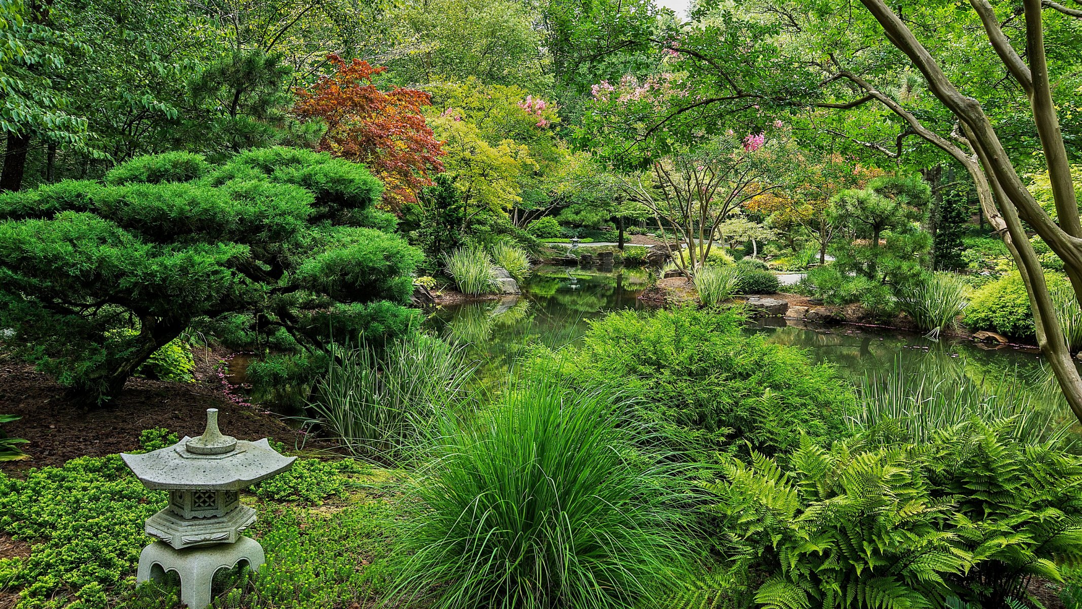 united states park pond ball ground gibbs gardens bush nature photo