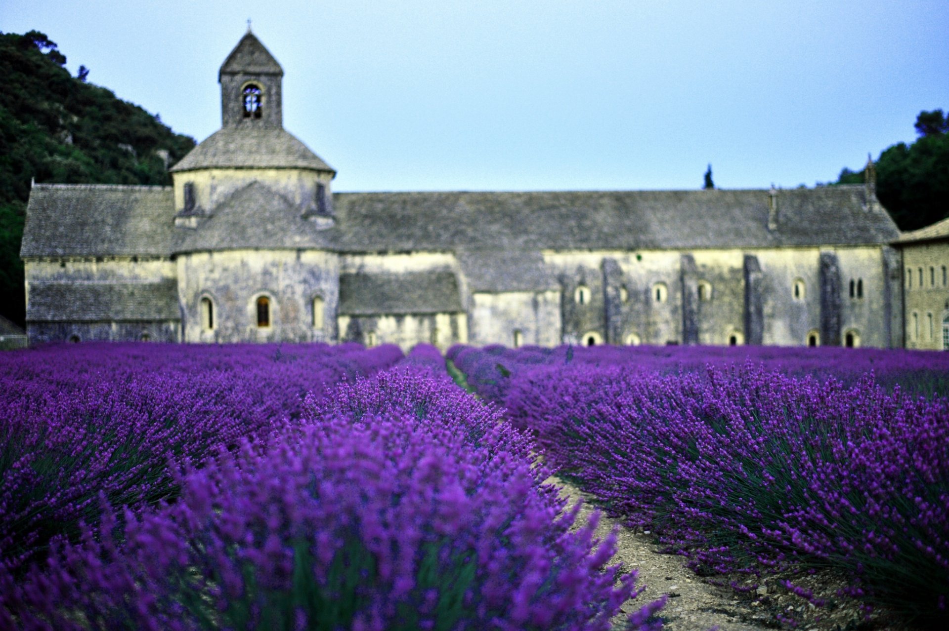 the field lavender church france