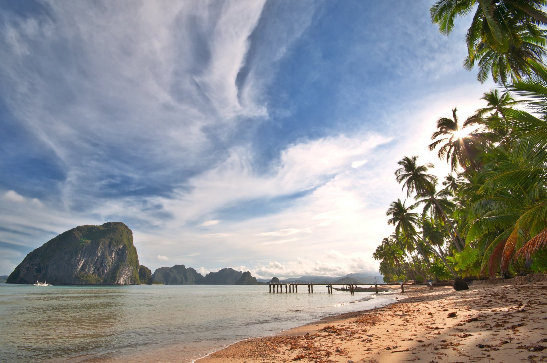 tropical beach palms ocean sea island sand shore sky clouds nature landscape the tropical beach palm beach