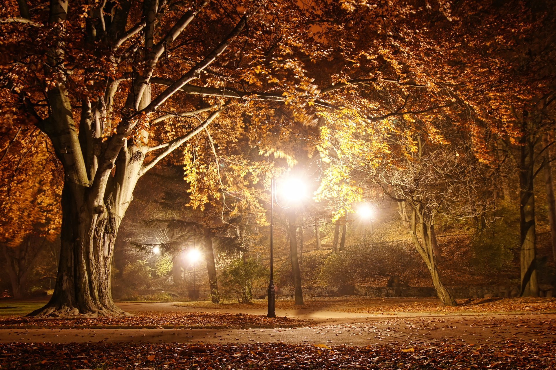 romantic evening autumn trees road park nature beautiful scene landscape street lamppost lamp night midnight lights a romantic evening light at midnight