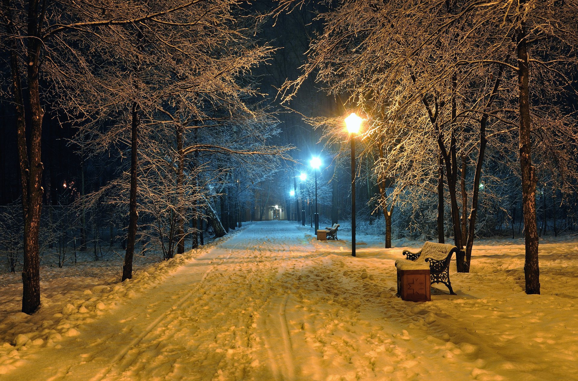 romantic evening benches bench seat winter snowy park road park nature beautiful scene landscape lamppost lamp night midnight lights mood a romantic evening seats winter snow park