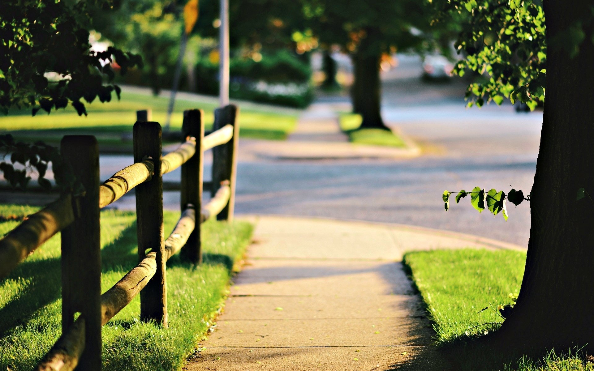 nature tree leaves fence fencing grass green sun path alley macro trees leaves sun day blur background wallpaper widescreen full screen hd wallpapers