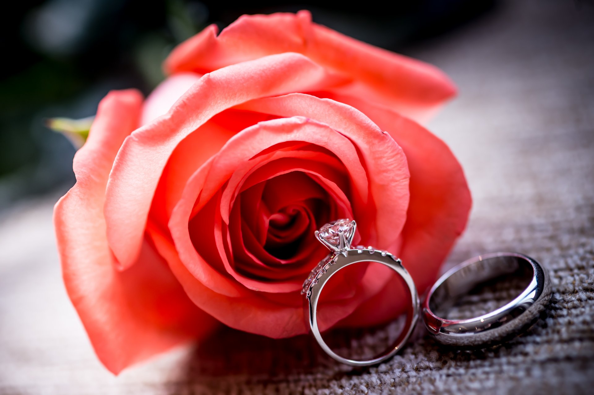 red rose ring flower rings wedding