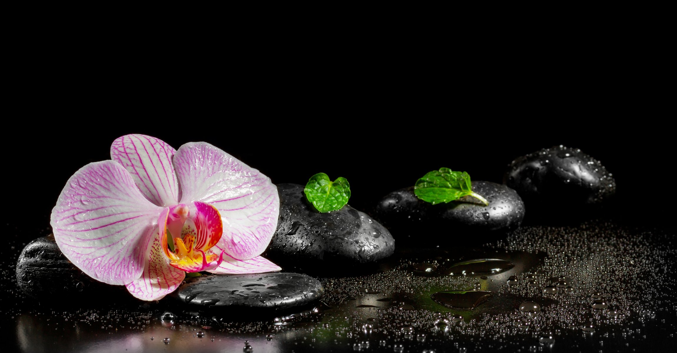 water spa stones flower orchid leaves