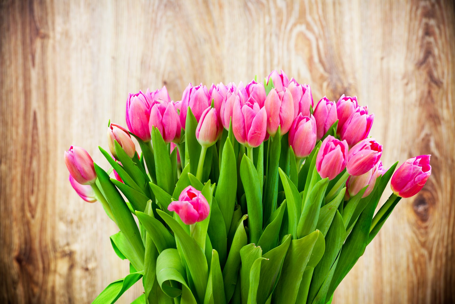 background flower bouquet pink tulips beauty