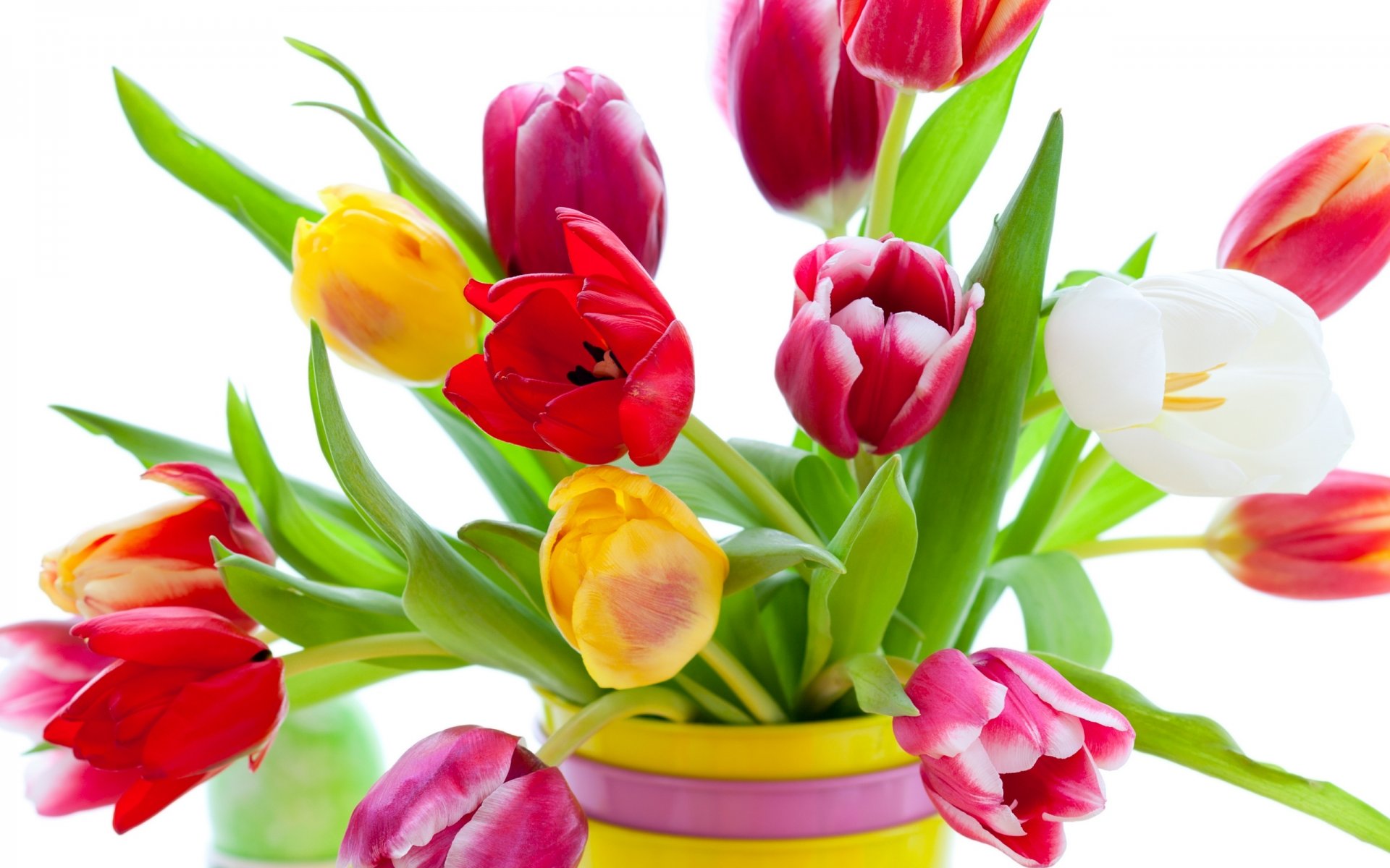 tulips flowers varicoloured bright bouquet yellow red white pink petals vase beauty flower colored