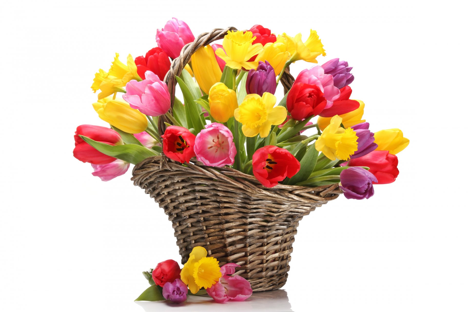 flower tulips bouquet daffodils yellow red shopping